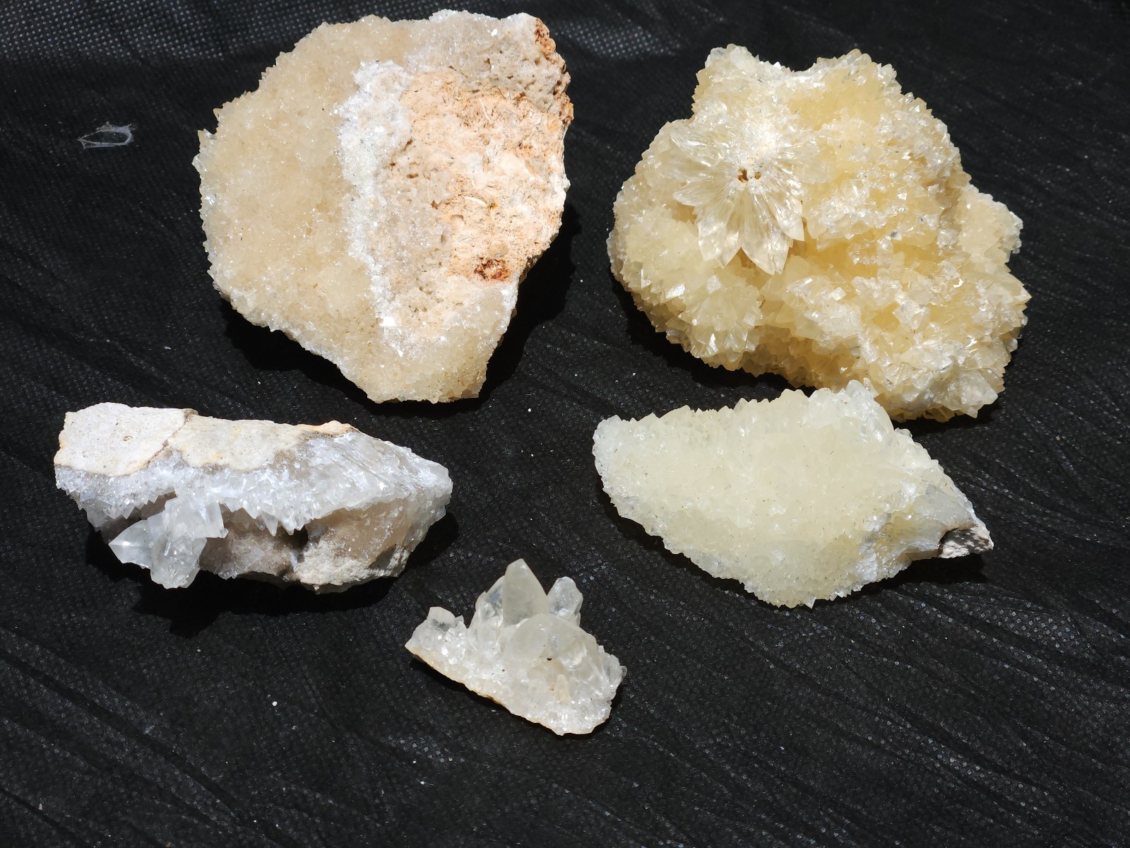 Florida Calcite Crystal Collection 5 pieces LOT Honey Clusters UV Mineral