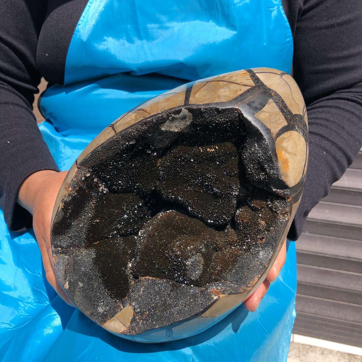 7550G Natural Turtle Back Stone Dragon Crystal Cave Crack Gem Healing 4345