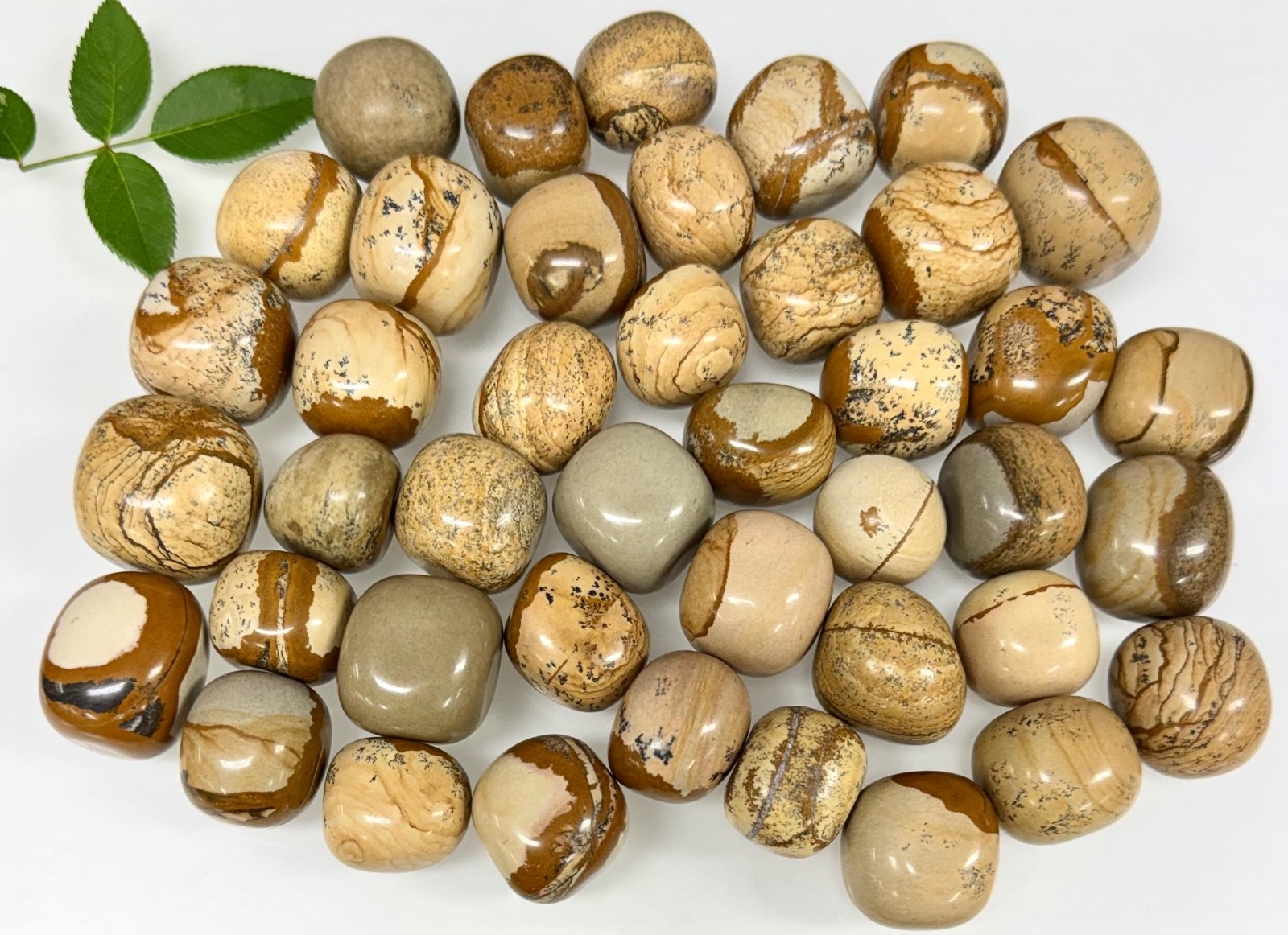Wholesale Lot 2 Lbs Natural Picture Jasper Tumble Stone Nice Quality Healing