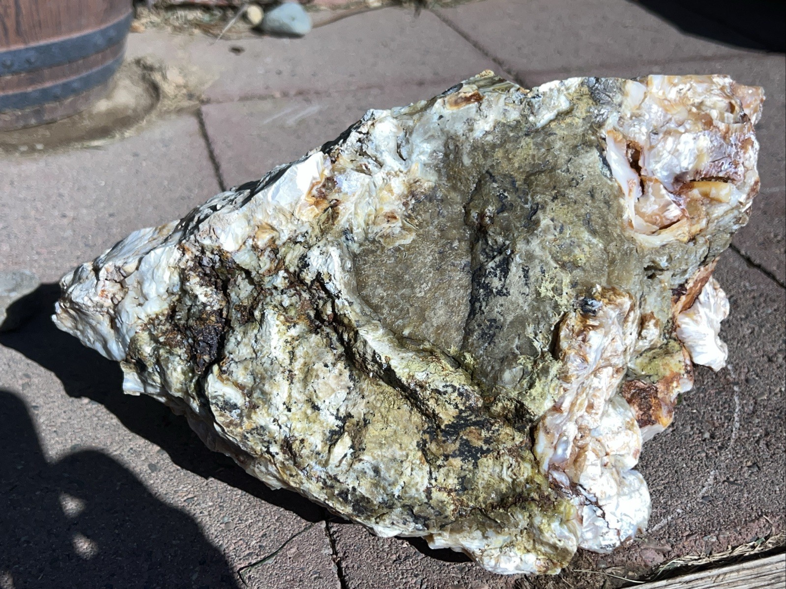 Agatized Opalized Petrified Wood 17 Lbs White Red Orange Fire Agate Throughout