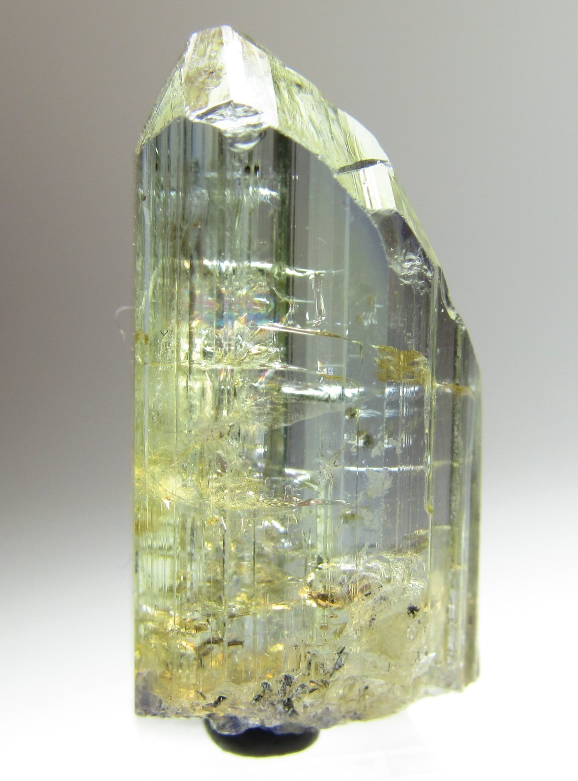 EXCEPTIONAL DRAMATIC UNHEATED GEM TANZANITE CRYSTAL!!! TANZANIA