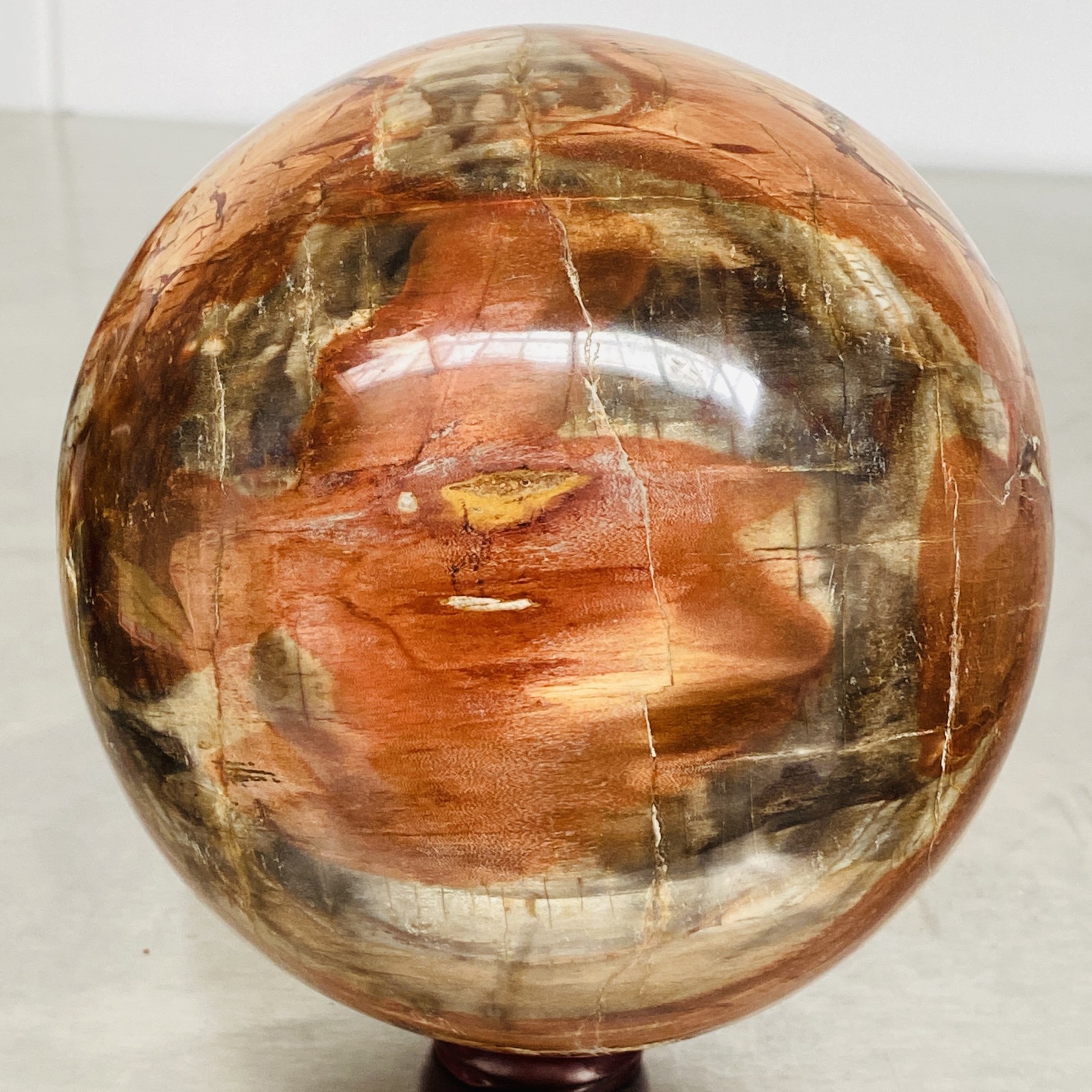 Natural Petrified Wood Polished Stone Quartz Crystal Sphere Ball Healing 3020G