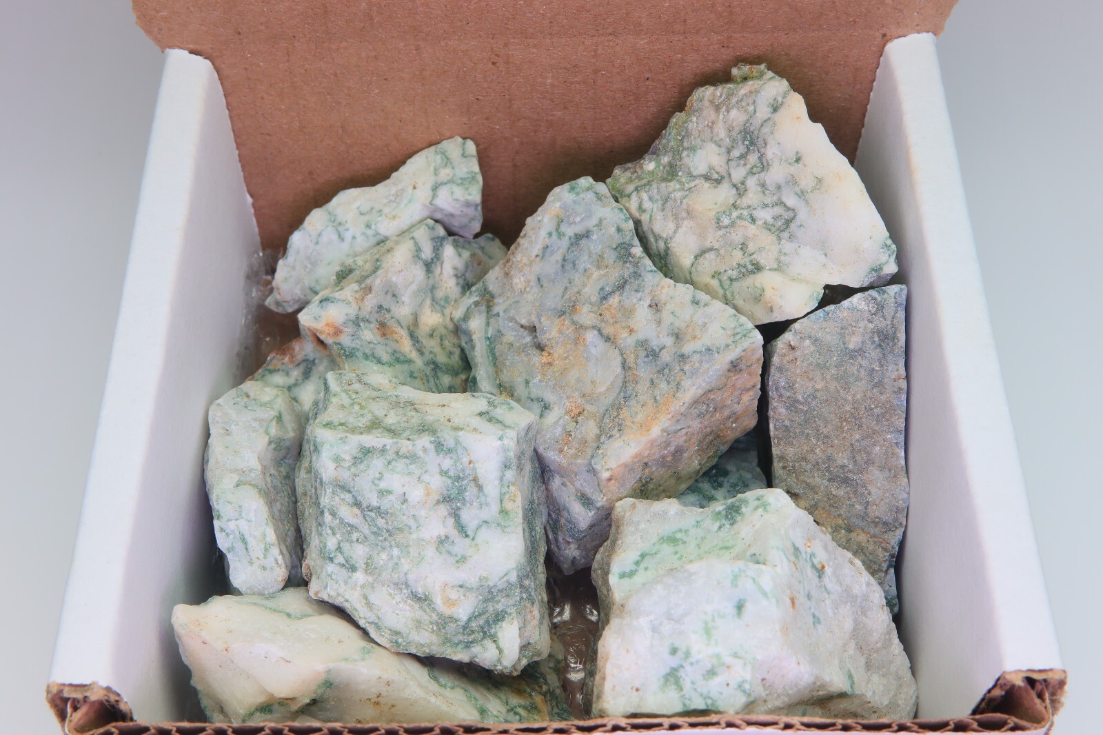 Tree Agate 1 Lb Rough Mineral Bulk Wholesale Gemstone Specimens