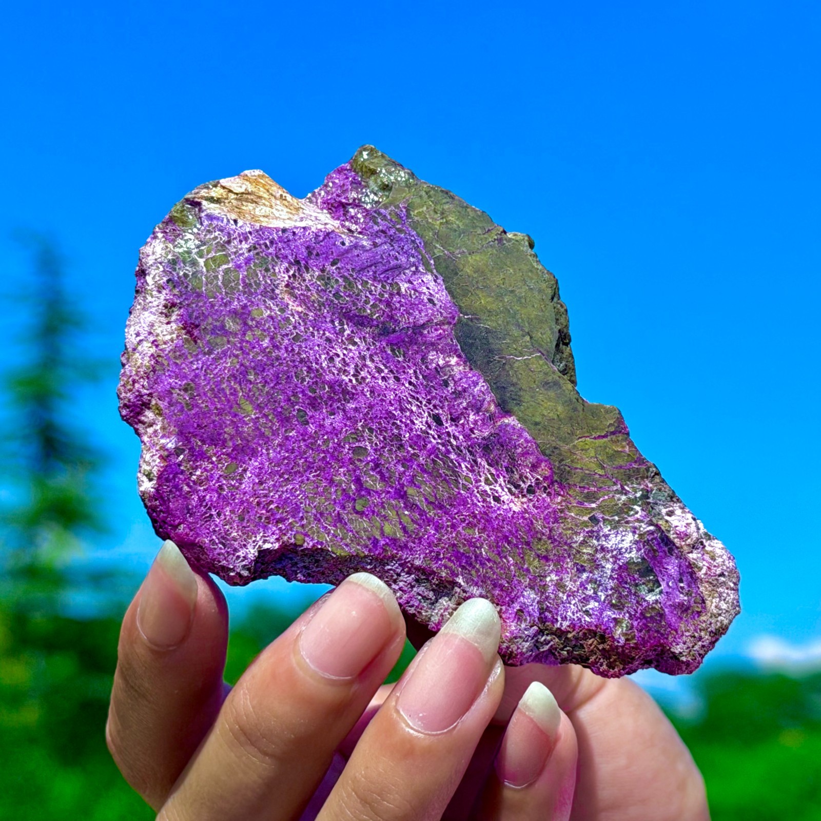 48G Namibia Natural Metallic Purple Purpurite Crystal Slice Extra Large Gem