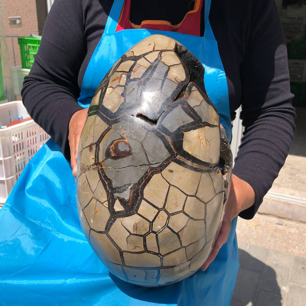 18KG Natural Turtle Back Stone Dragon Crystal Cave Crack Gem Healing 4333