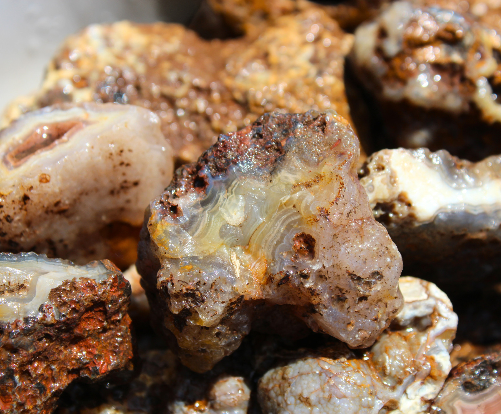 Picacho Agate Nodules – Rough Rocks for Lapidary/Cabochon – Bulk Wholesale
