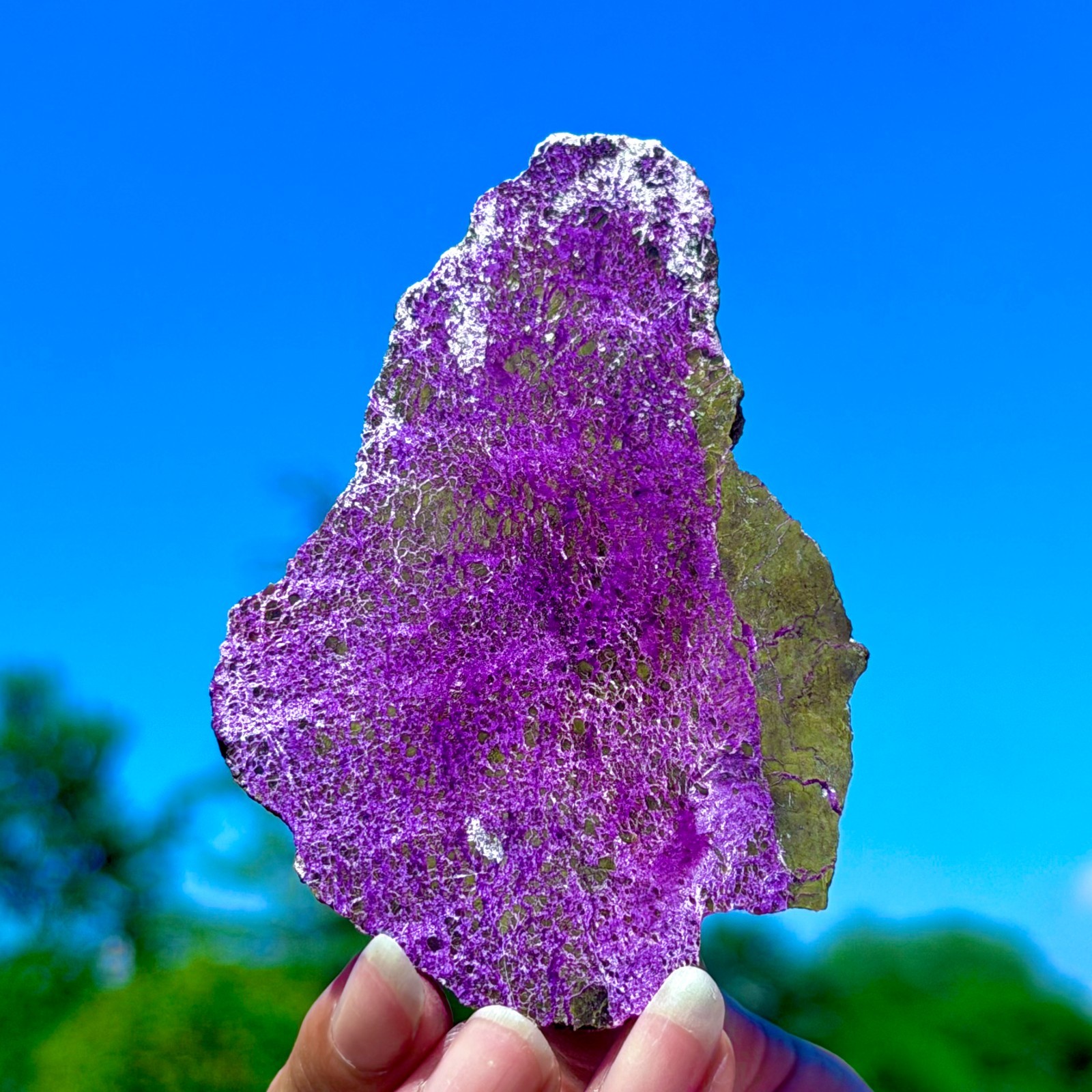 48G Namibia Natural Metallic Purple Purpurite Crystal Slice Extra Large Gem