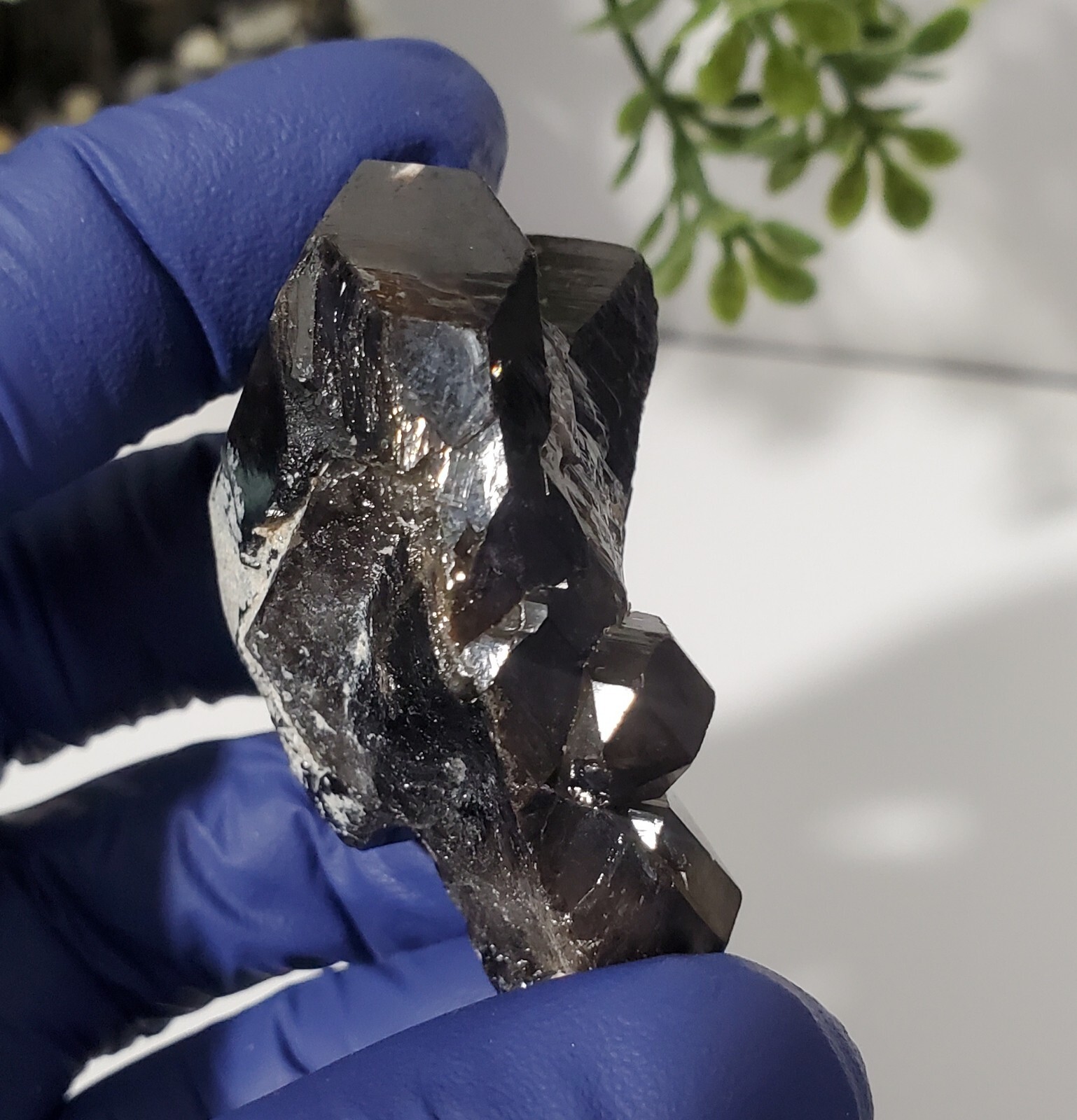 Smoky Black Quartz Skeletal Quartz Crystal , Fenster , Specimen 38g