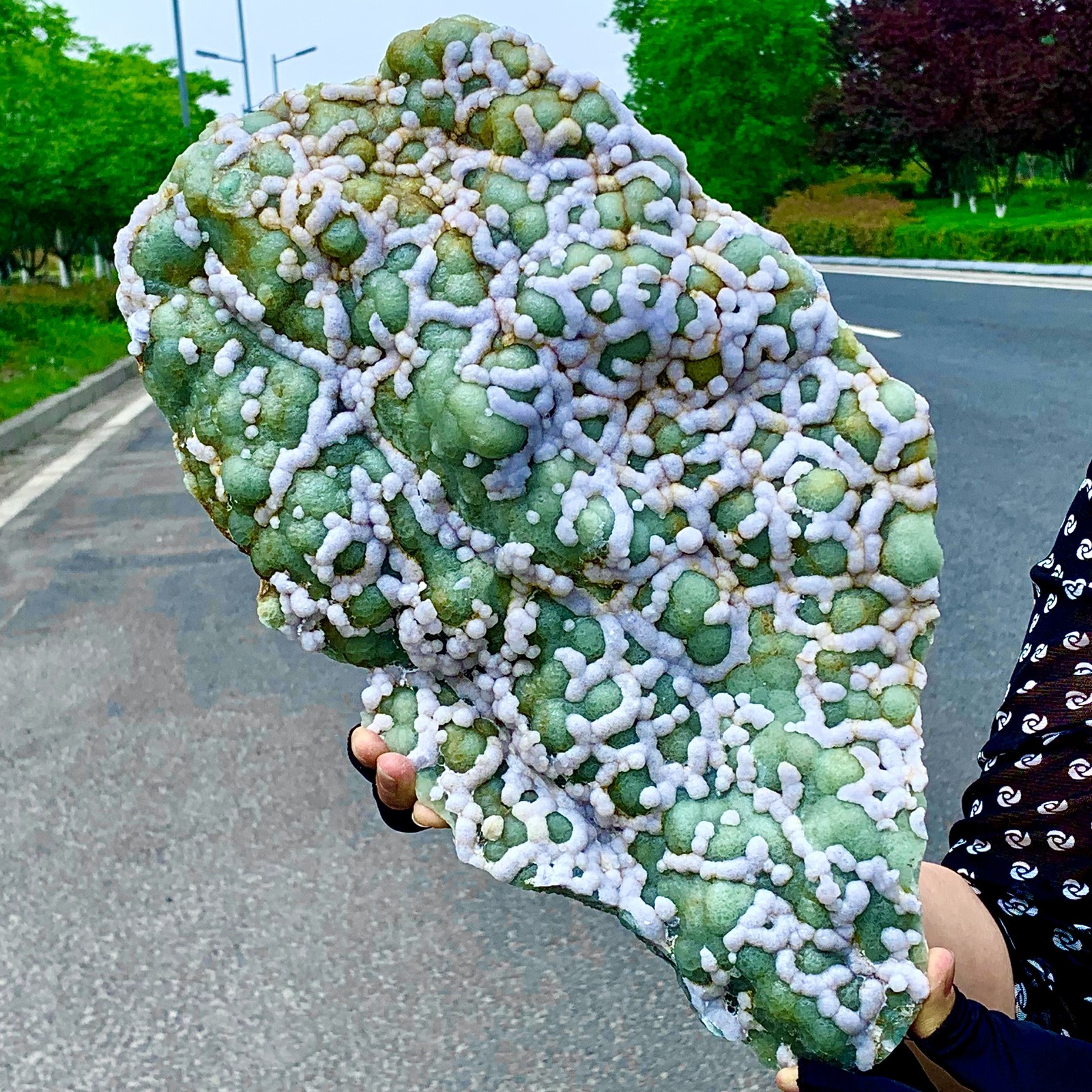 20.68LBNatural Fluorite Green-white dual color crystal mineral Specimen,Zhejiang