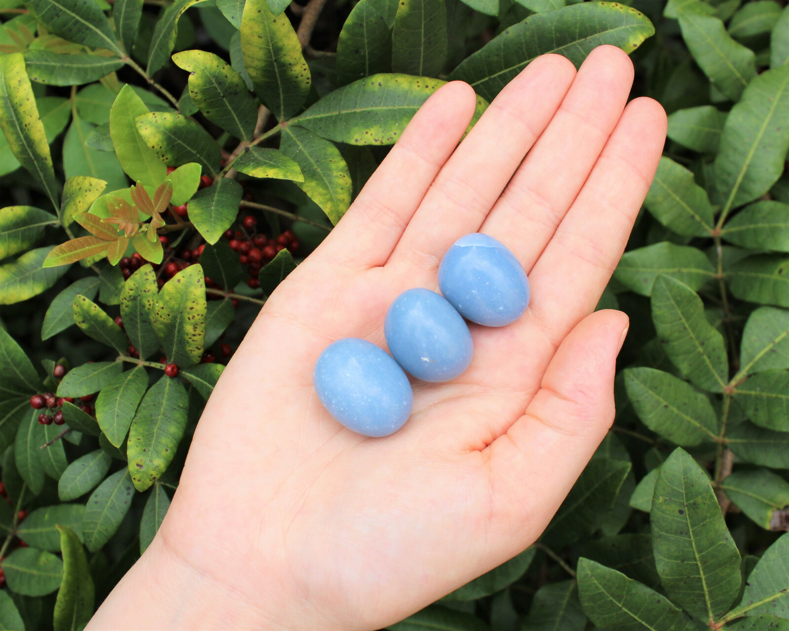 3 Medium Large Premium Grade Angelite Tumbled Stone Crystal Healing Gemstone