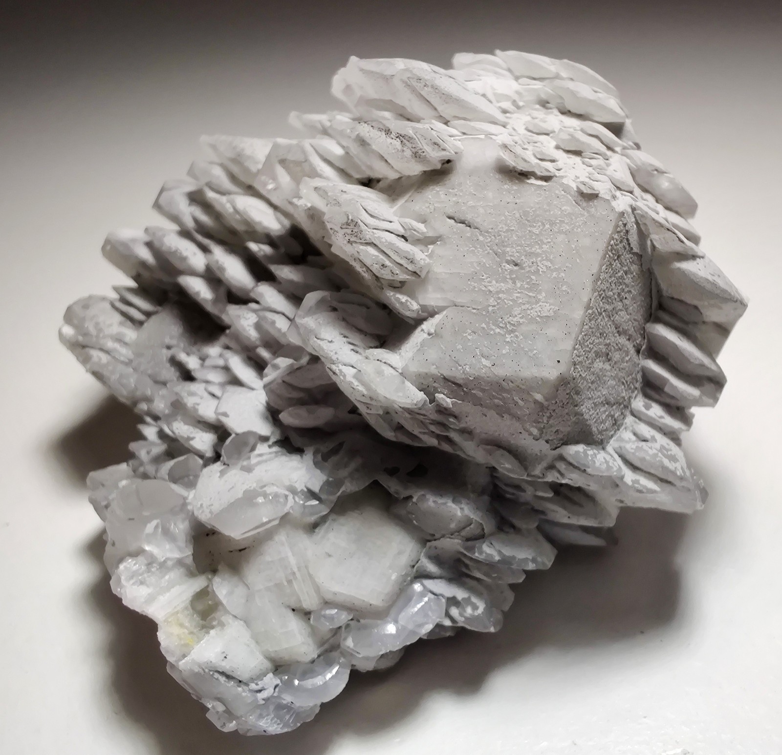 Poker-chip Calcite, excellent specimen, fluorescent. Charcas, Mexico. 217 grams.