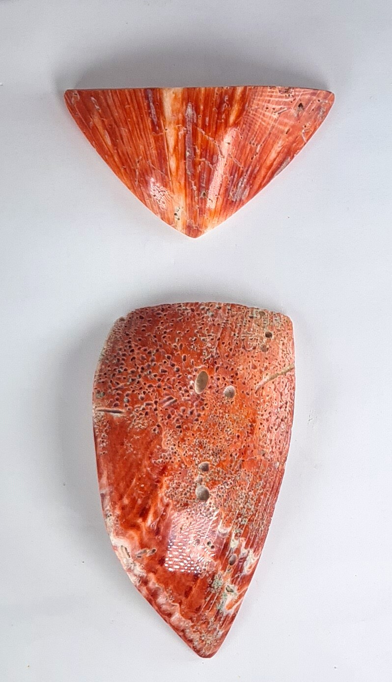 2 PIECES OF SPINY OYSTER POLISHED PERU JEWELRY PENDANT BB134