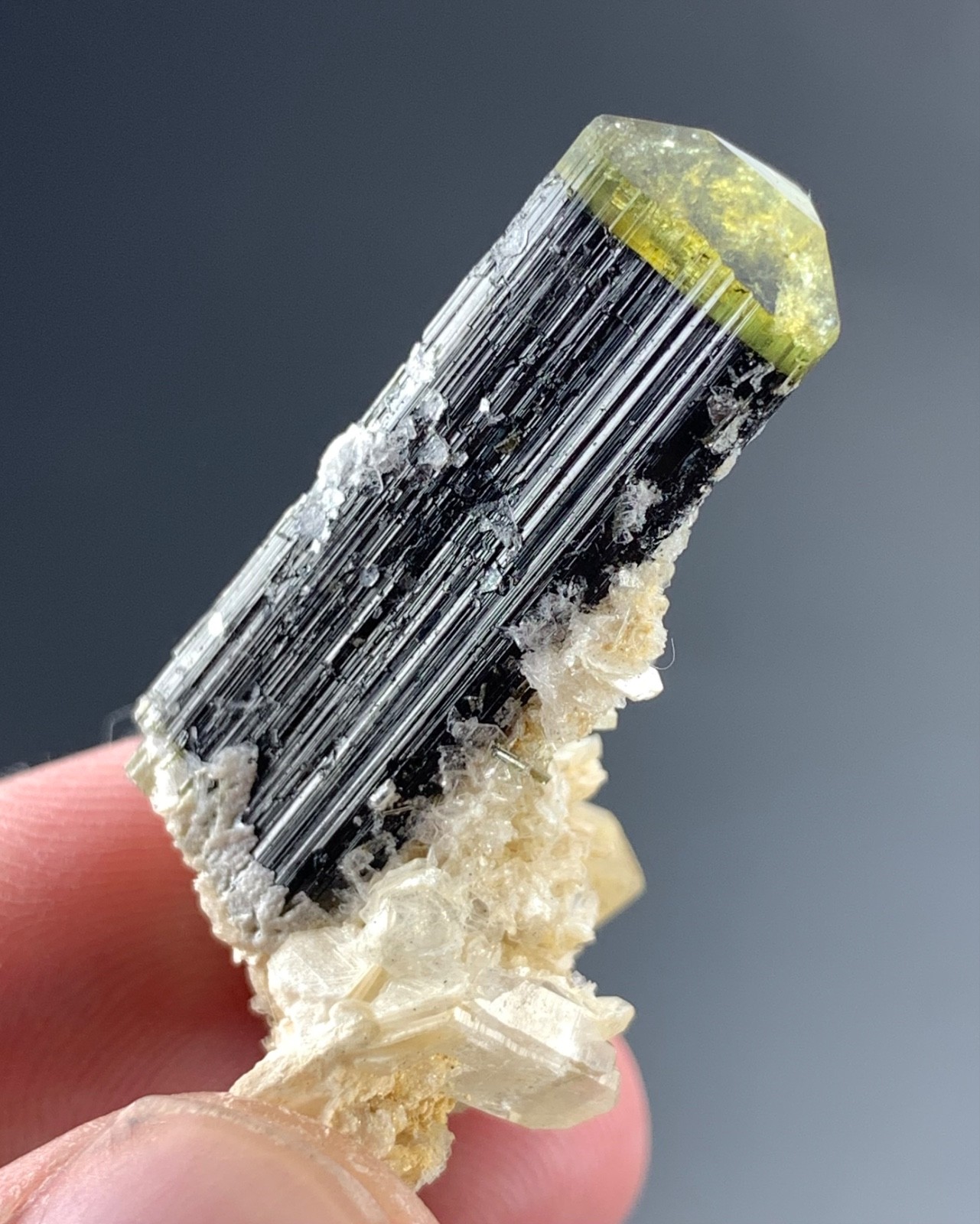 44 Carat Green Cap Tourmaline Crystal specimen From Pakistan