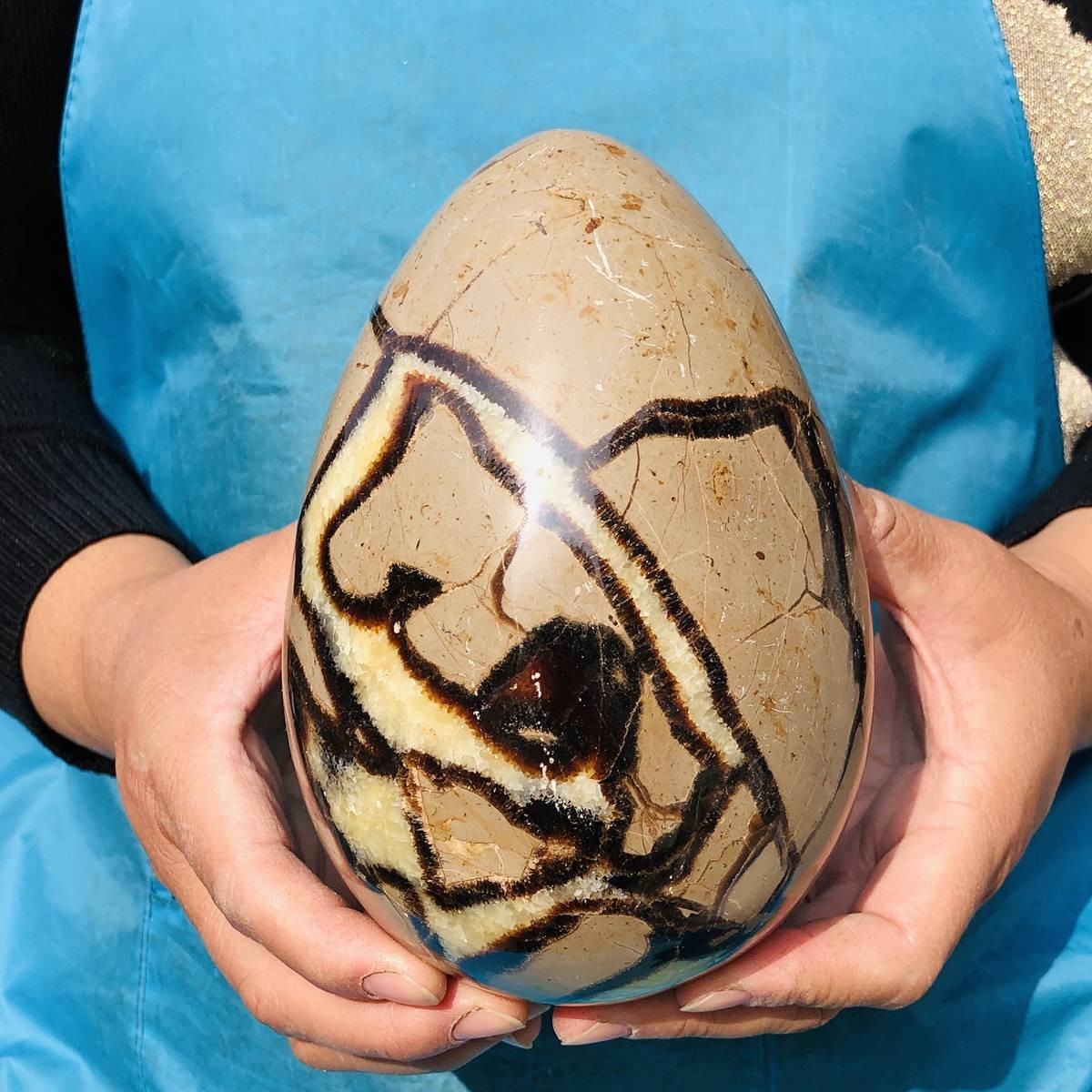 5.06LB Natural Turtle Back Stone Egg Shape Dragon Crystal Crack Healing