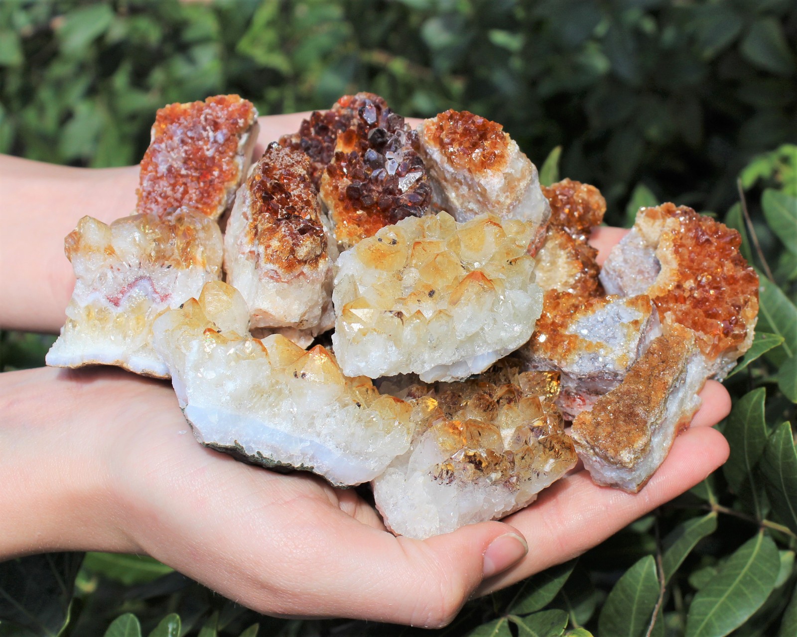 Citrine Crystal Clusters Wholesale Bulk lots – CLEARANCE ‘B’ Grade Citrine Druze