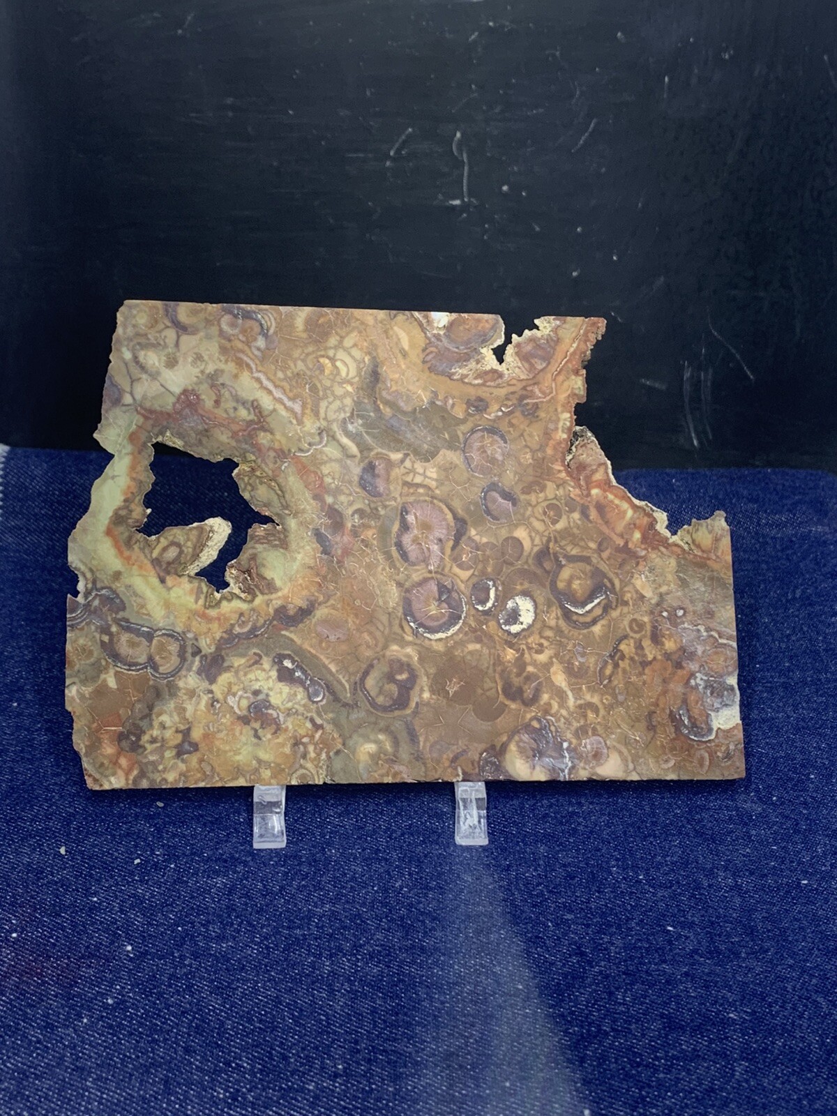 Spiderweb Jasper Slab Unpolished ( Washington)