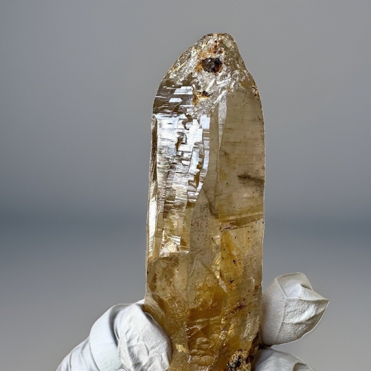 “Golden Comet” Ganesh Himalayan Quartz Secondary Growth Iron Oxide Nepal Crystal