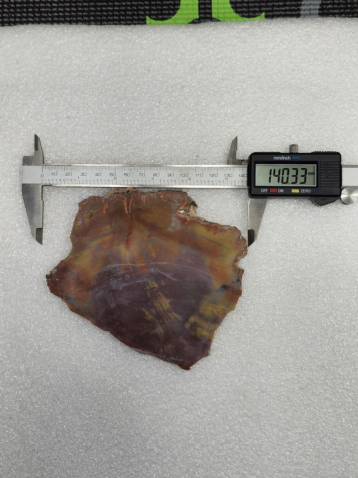 Irregular Natural Petrified Wood Slice from Arizona.