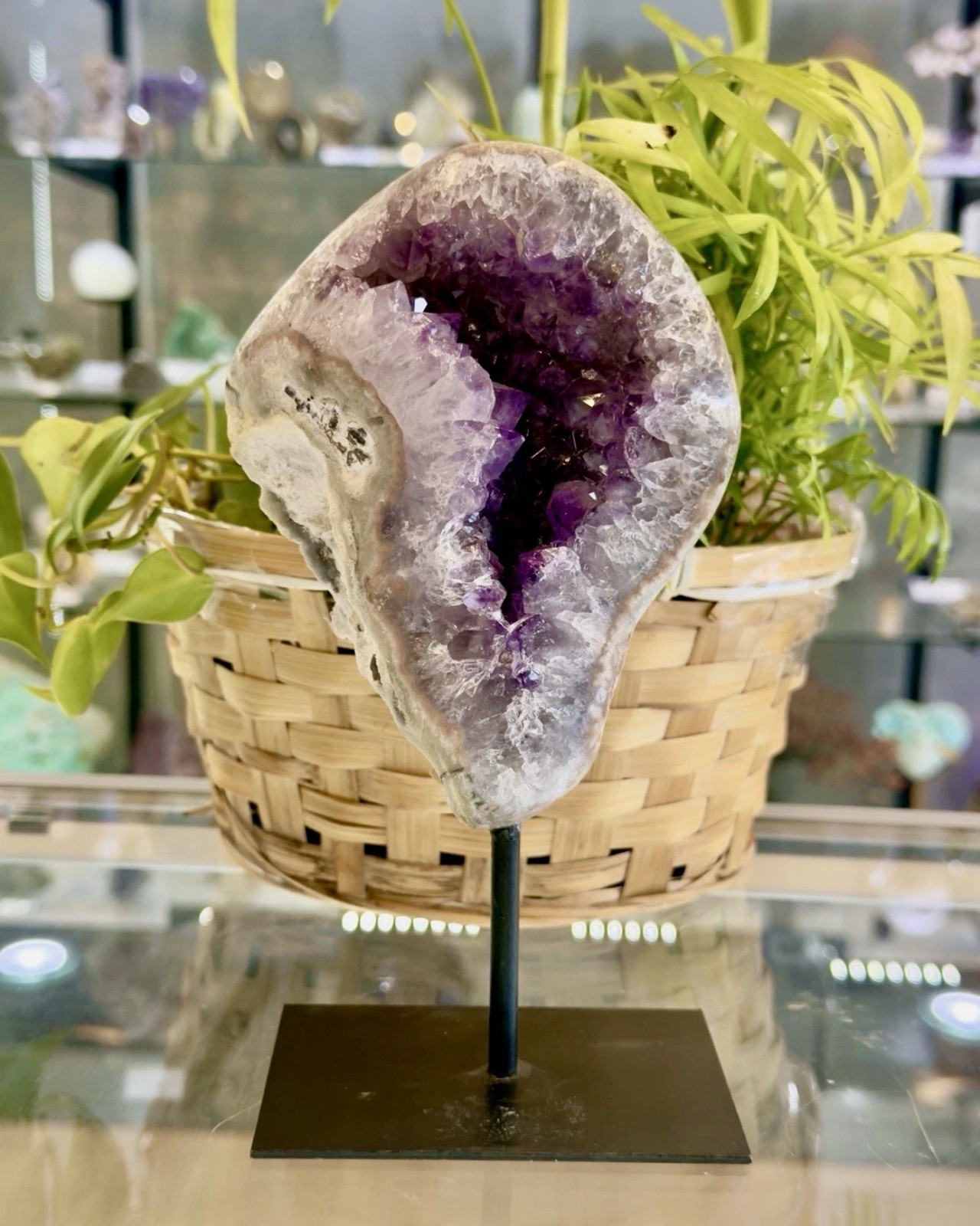 Natural Amethyst Specimens