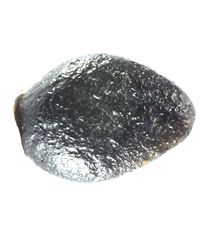 Australite Tektite, Sandpit nr Port Campbell. Victoria Australia (EA10445) Boxed