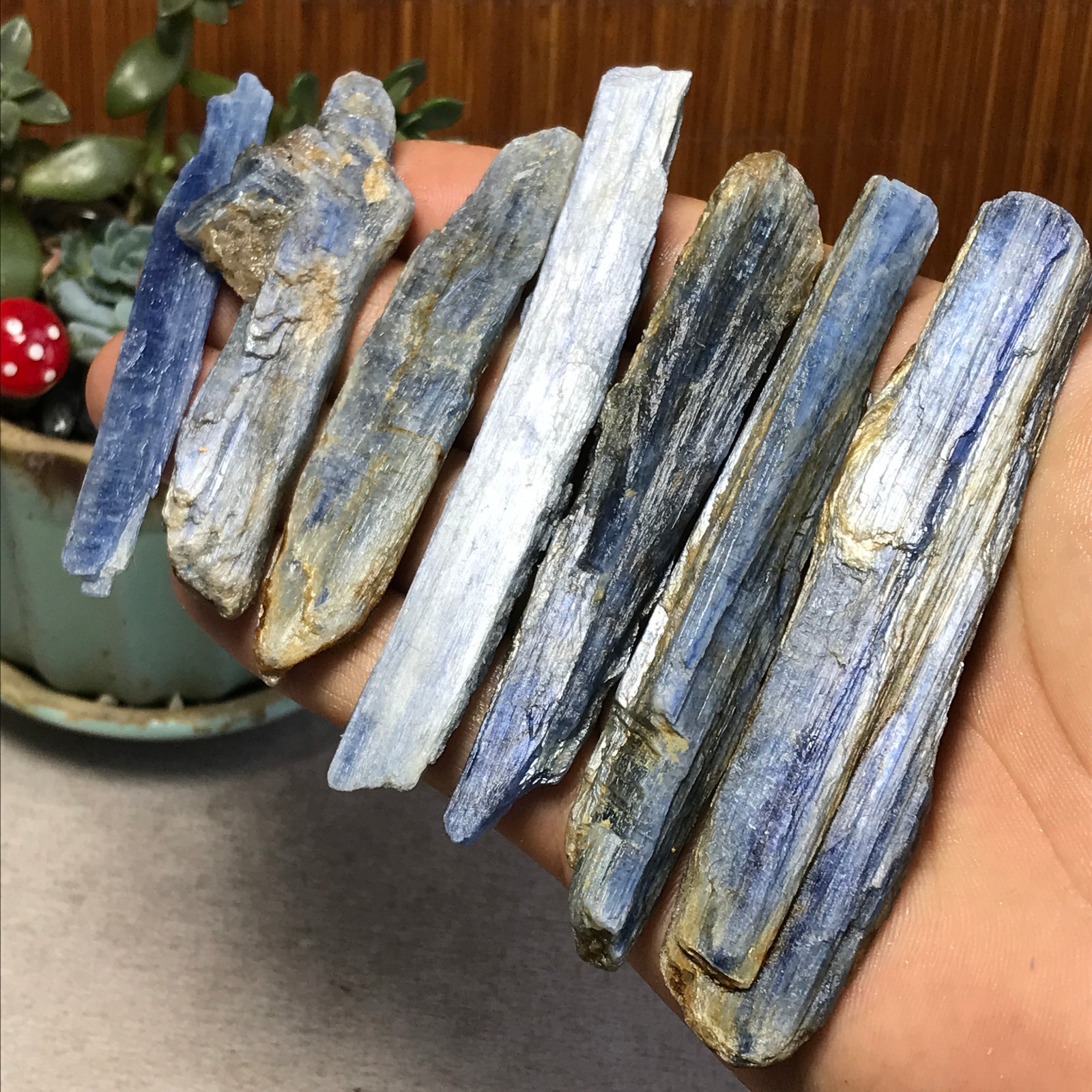 7Pcs NATURAL Blue Kyanite gemstone crystal rough mineral Specimen 155g A6924
