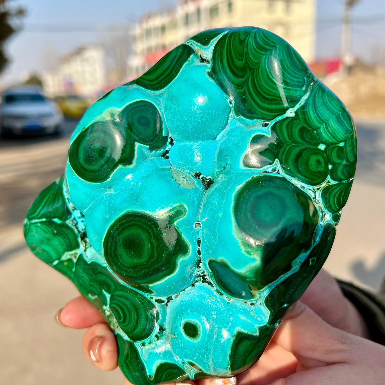 3.03LB Natural tortoise Malachite transparent cluster rough mineral sample