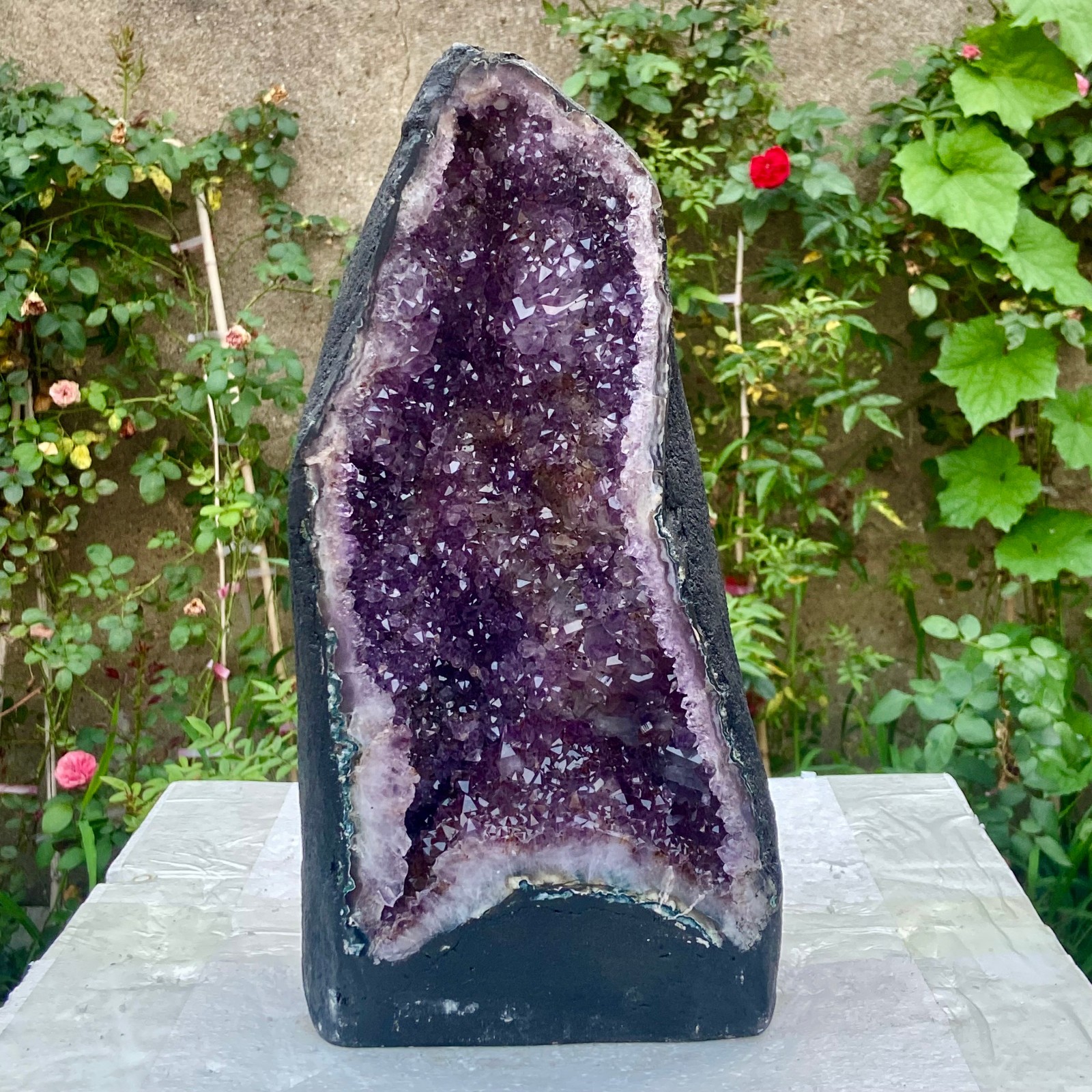 22LB Natural Amethyst Geode Quartz Crystal Cluster Cathedral Energy healing