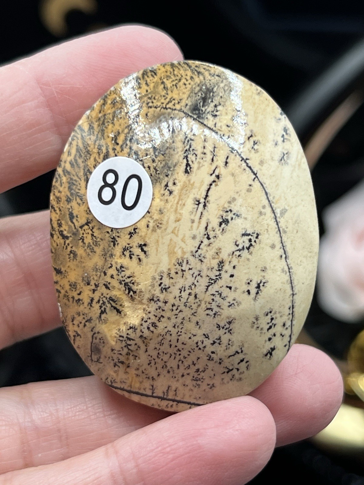 Natural Picture Jasper AMAZING Dendritic Polished Palmstones Free ship & Gift