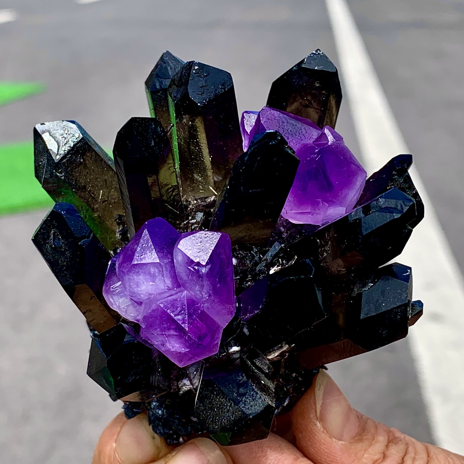 268G New Find black+purple Phantom Quartz Crystal Cluster Mineral Specimen