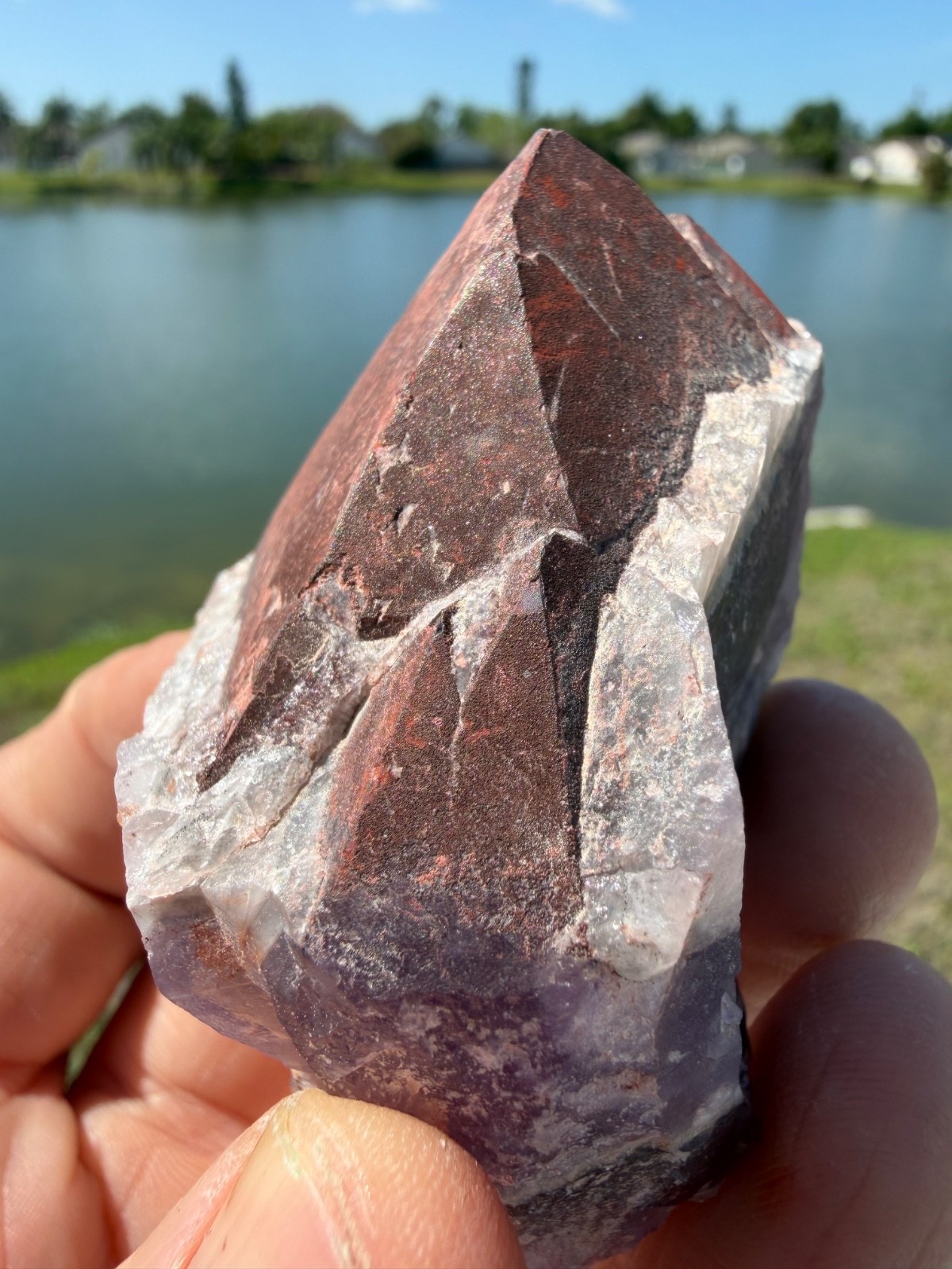 Auralite 23 Crystal Multi Red Cap from Canada 91 grams 2.5″