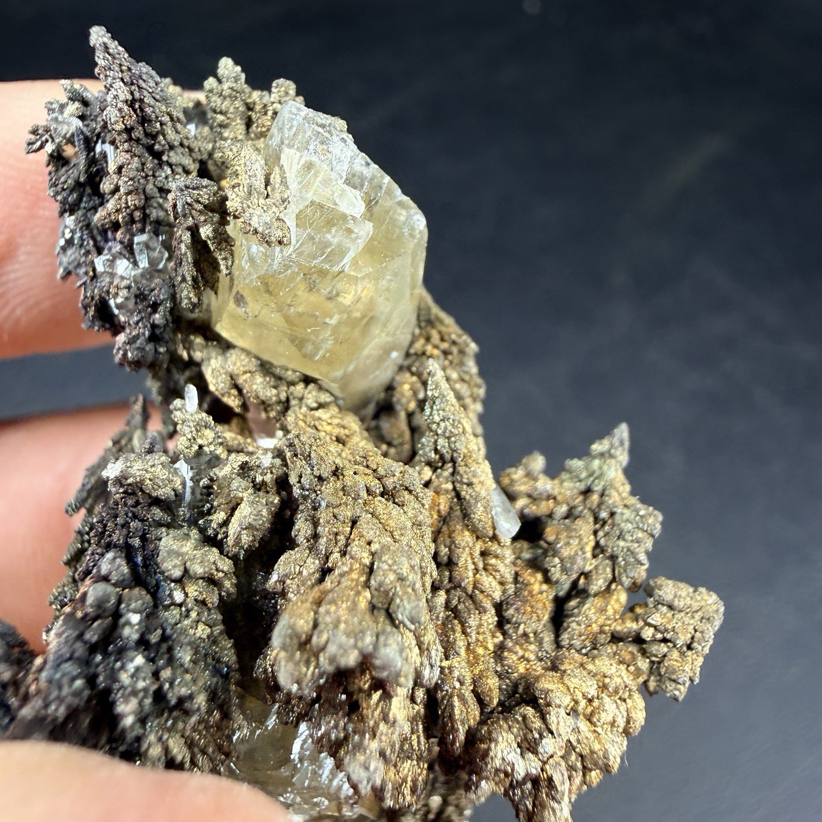 Golden Calcite Flower Chalcopyrite Crystal Combo / Sweetwater Mine *Video*