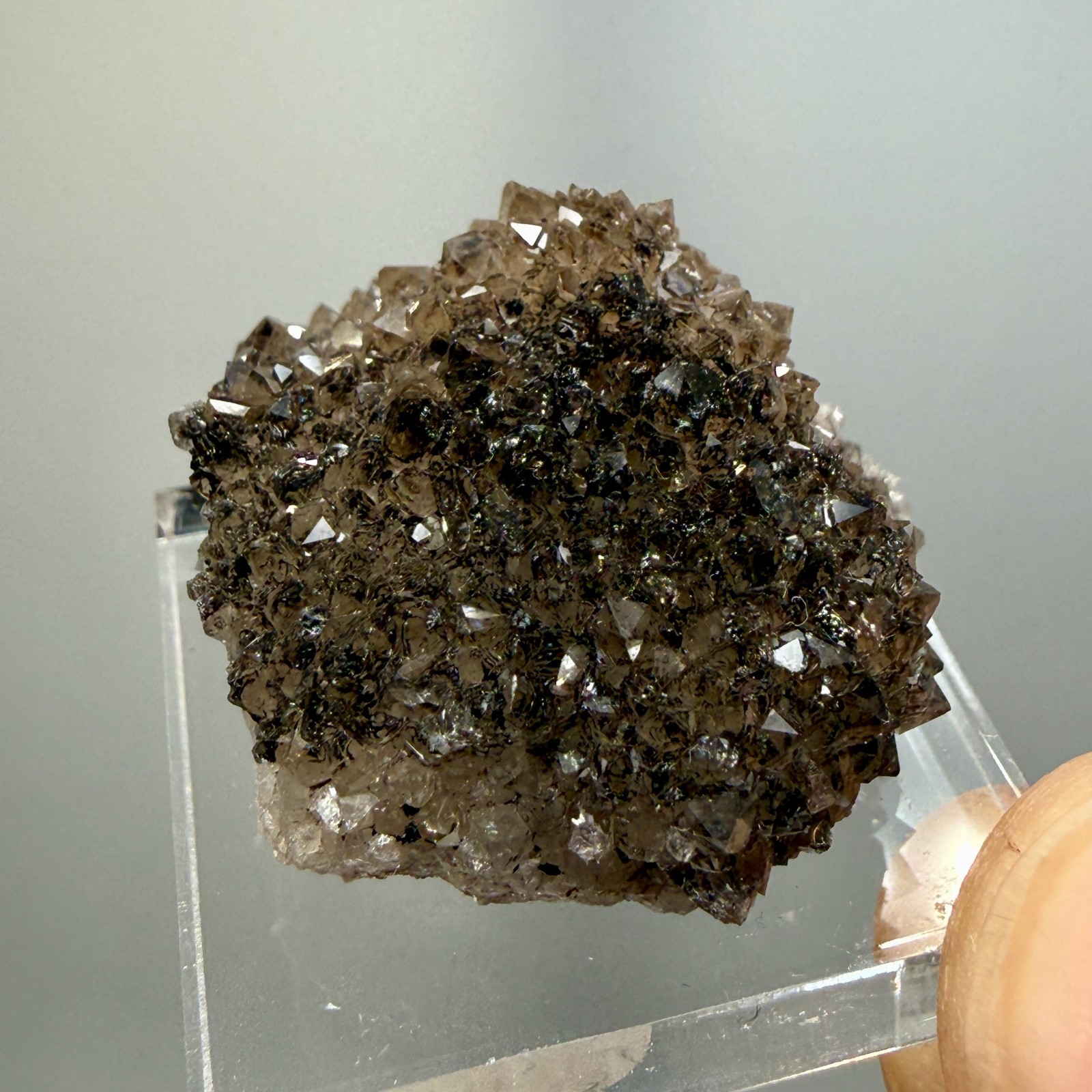 Herkimer Diamond Black + Gray Druze, Gemmy Points w/ Hydrocarbon, Rare Matrix