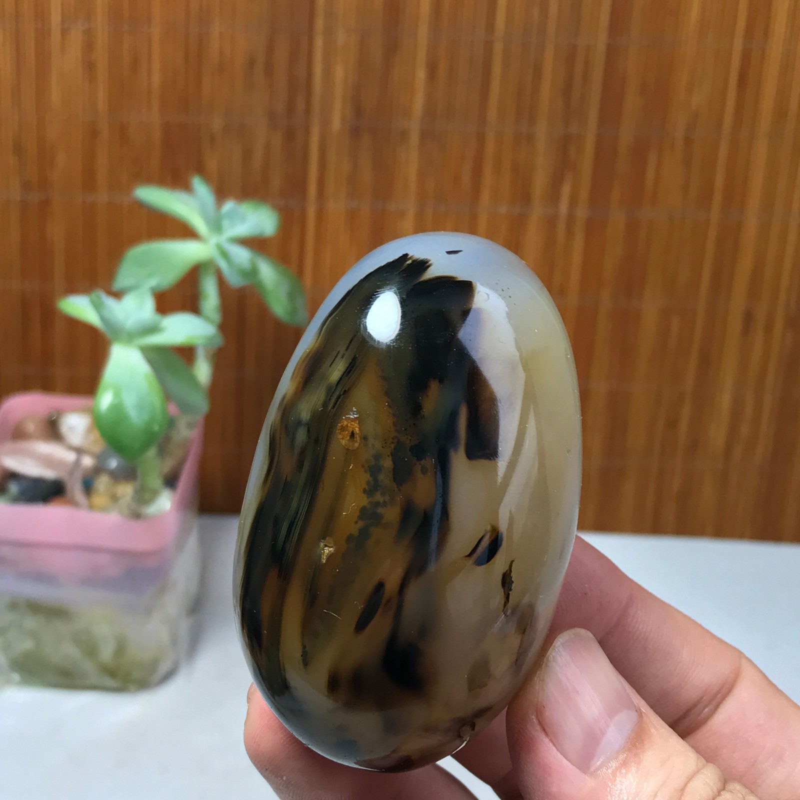 67mm Natural aquatic plants agate pretty Crystal specimens 142g A1633