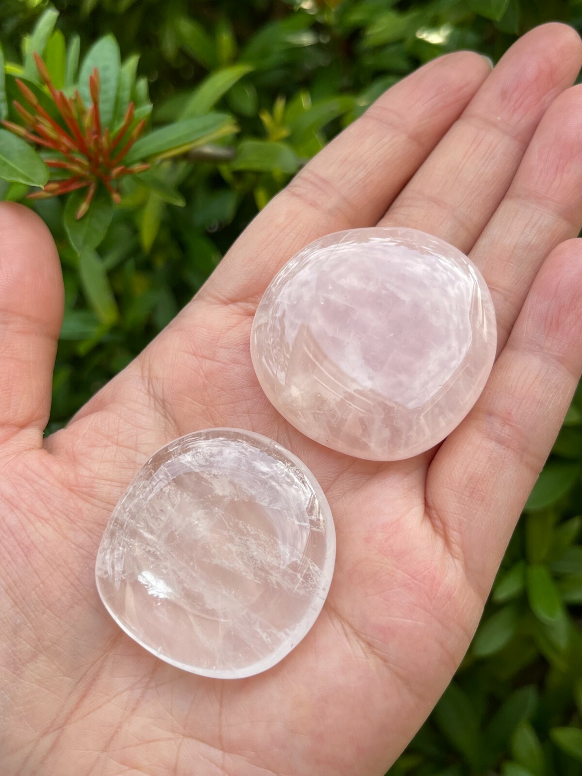 Rose Quartz Smooth Stone,1.5″-2″ Polished Rose Quartz Palm Stone, Wholesale Lot