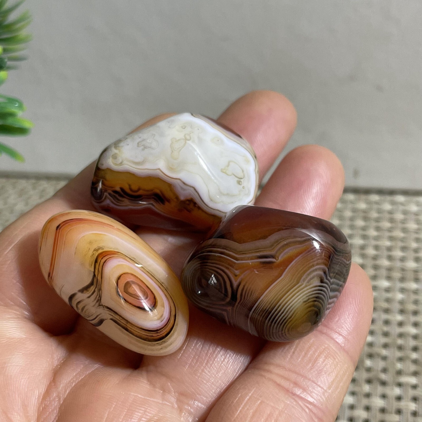 3pc 44g Crazy Lace SILK Banded Agate Polish Tumbled Stone Madagascar
