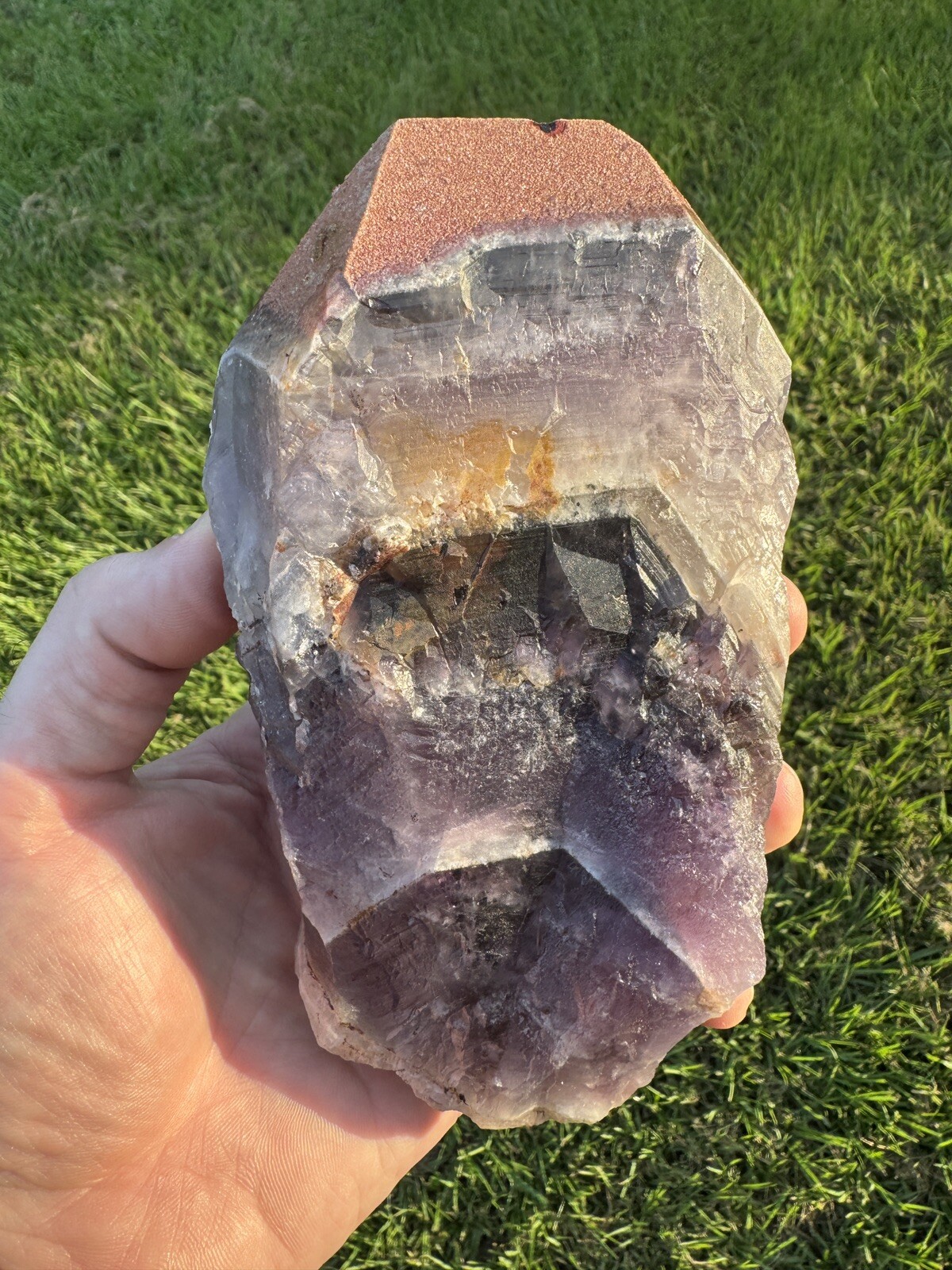 AURALITE 23 Red Cap Boreal Chevron Purple Amethyst Quartz Crystal Root Wand
