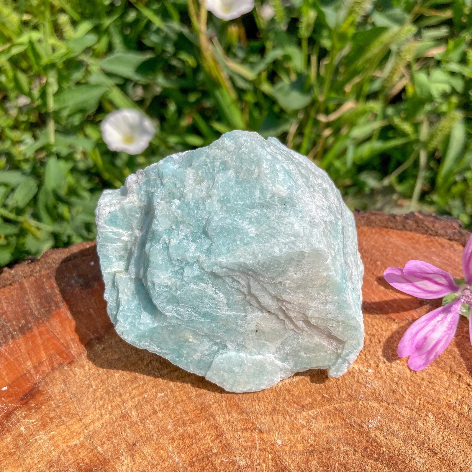 Raw Amazonite Crystal / Throat / March Gift / Communication / Clairvoyance