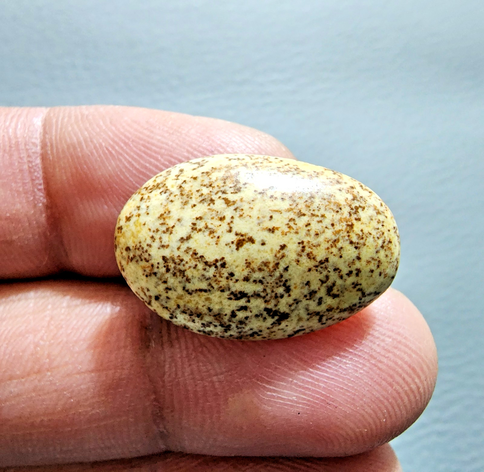 15ct Awesome Picture Jasper Cabochon Oval Gemstone – Natural Jewelry Collector