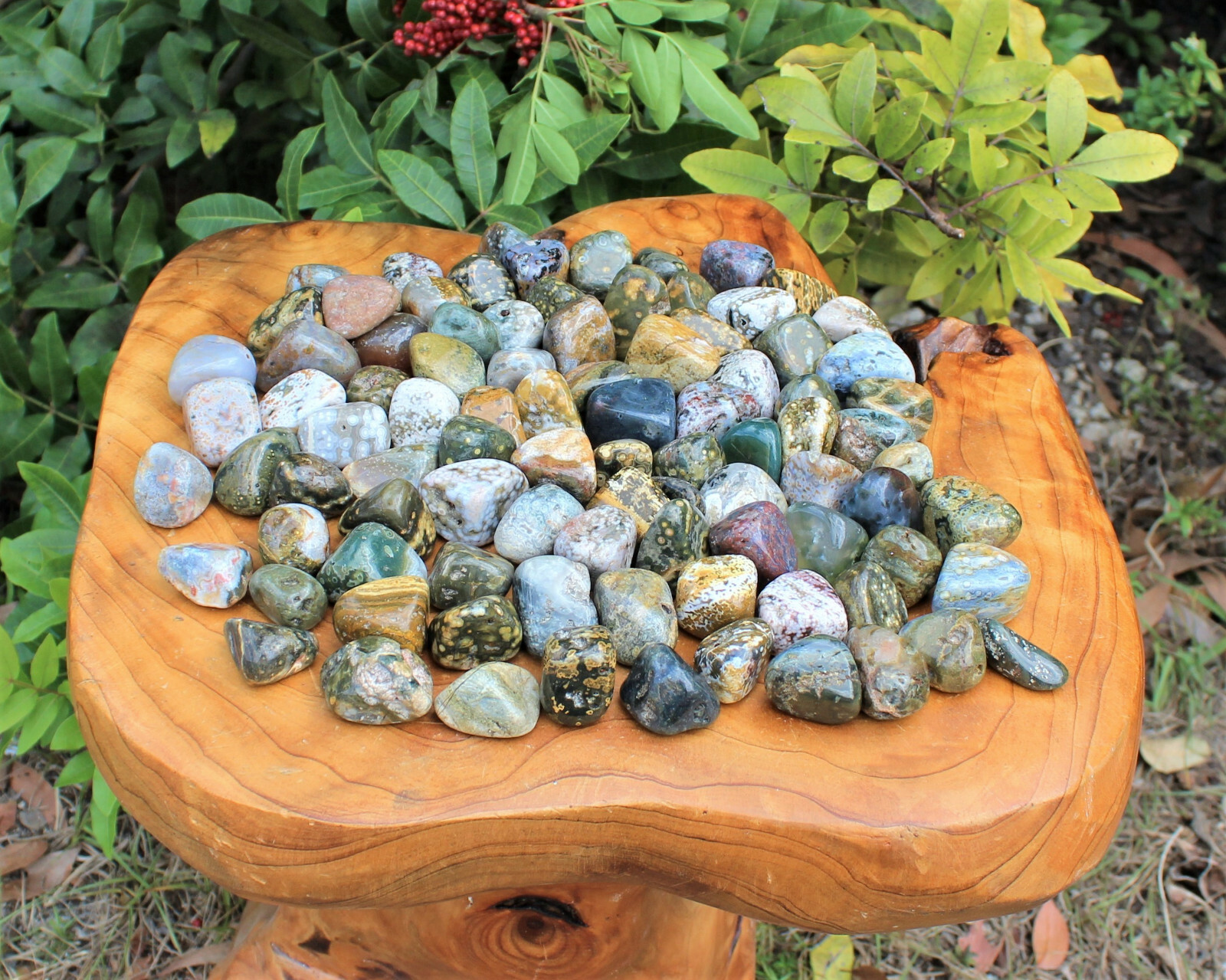 Sea Jasper Tumbled Stones: 10 Piece Lot (Crystal Healing)