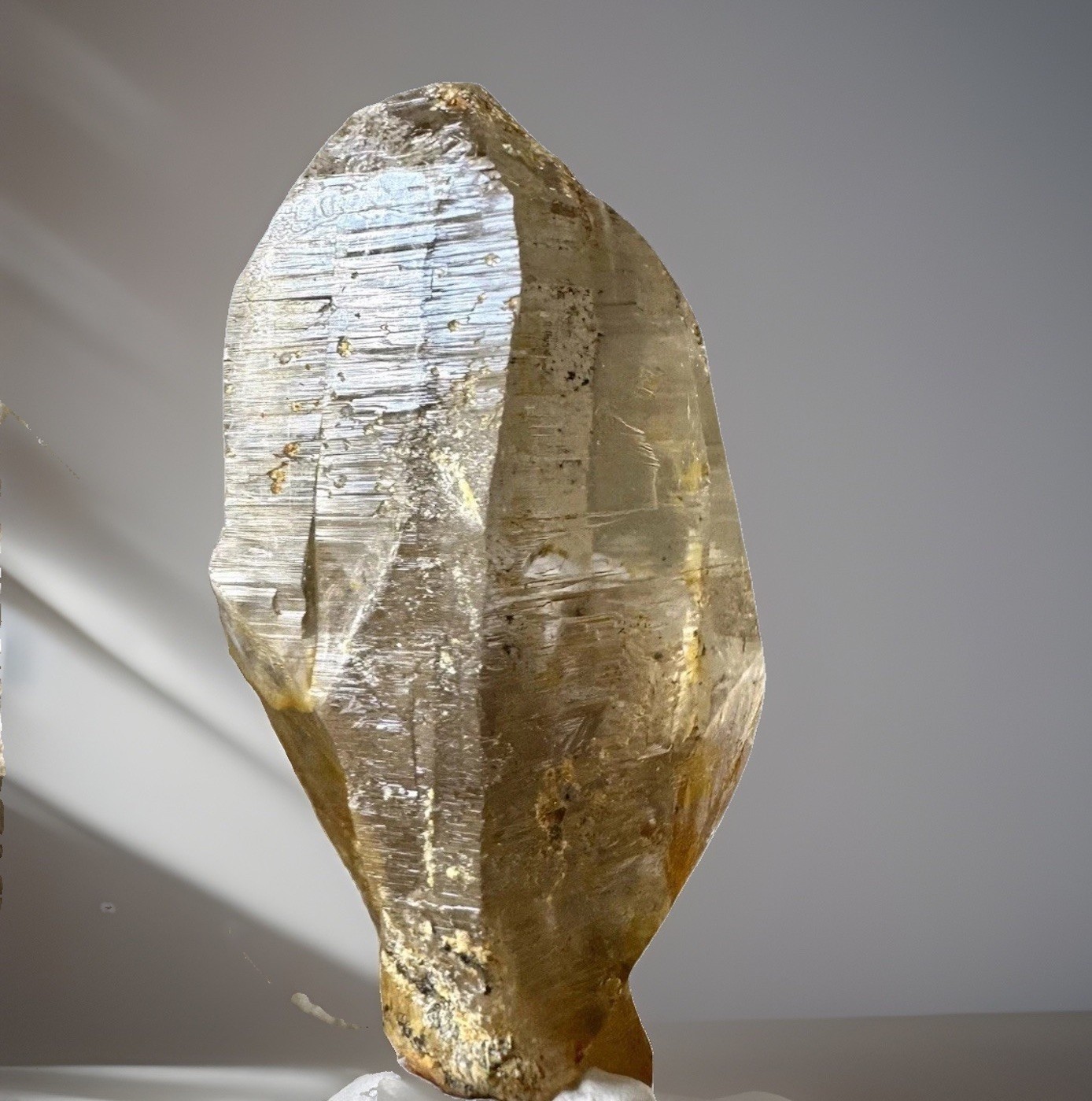 “Golden Comet” Ganesh Himalayan Quartz Secondary Growth Iron Oxide Nepal Crystal