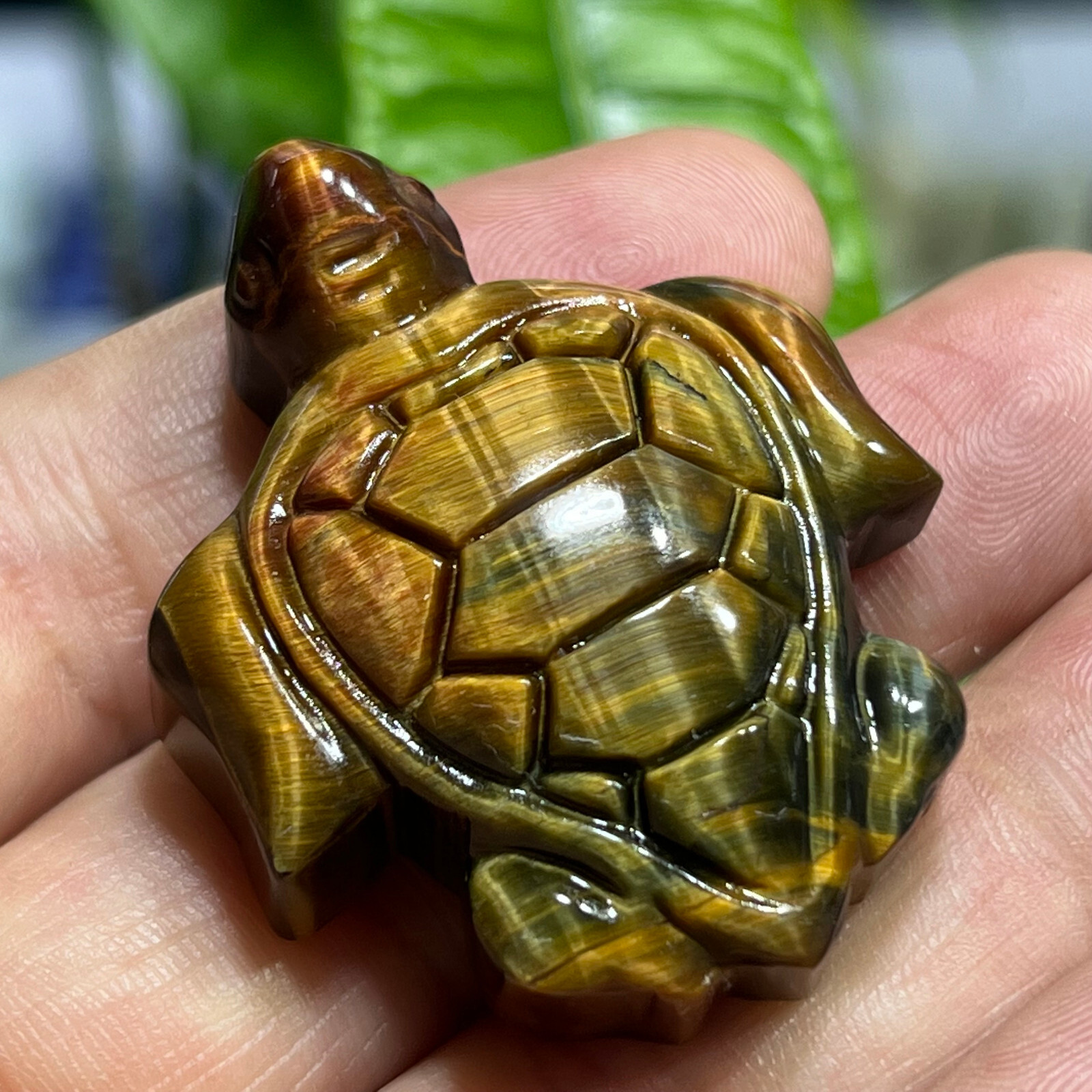 2″ Natural Tiger’s Eye Quartz Hand Carved sea turtle skull Crystal healing
