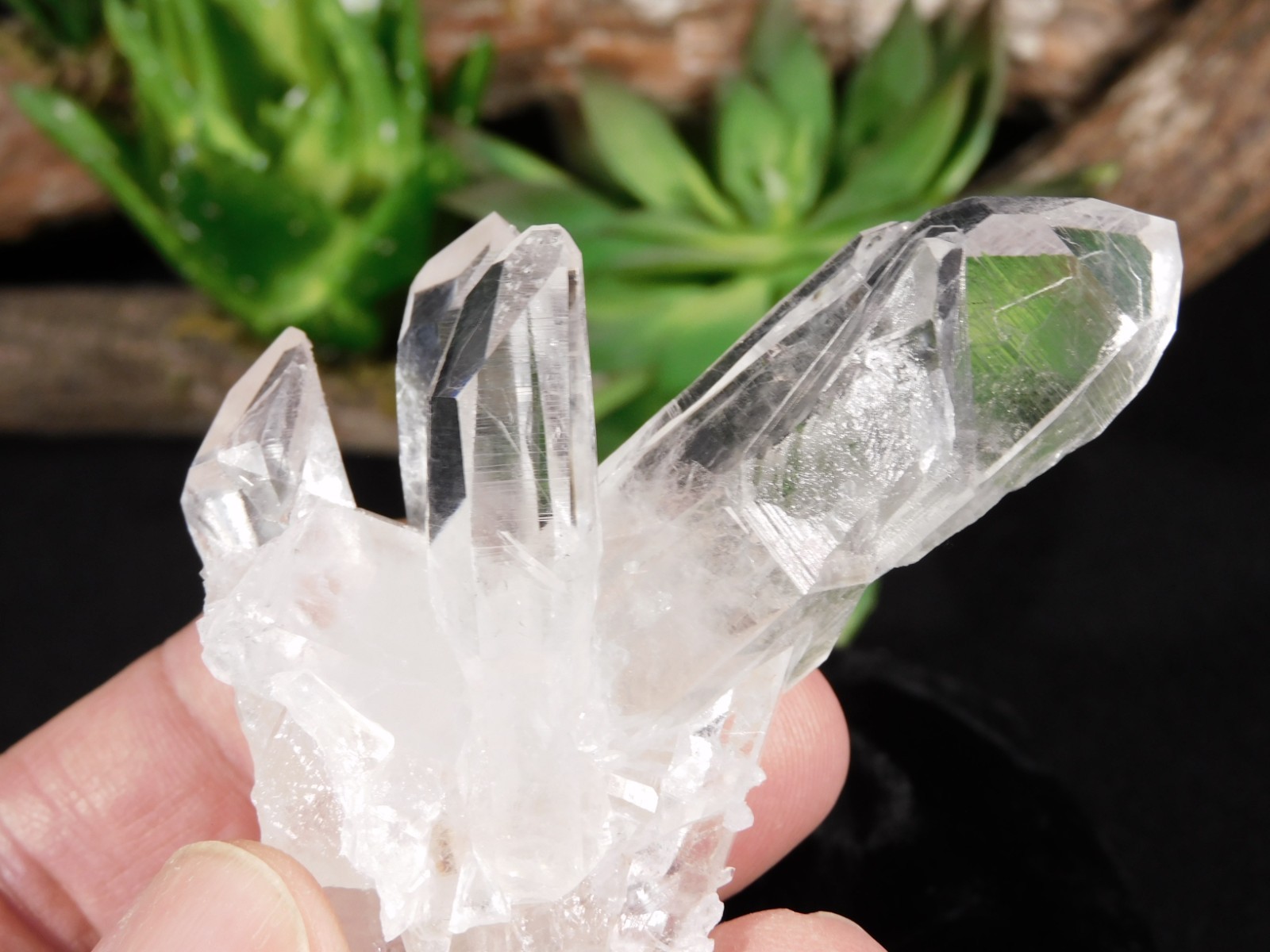 VERY TRANSLUCENT Quartz Crystal Cluster Collier Creek ARKANSAS 75.4gr