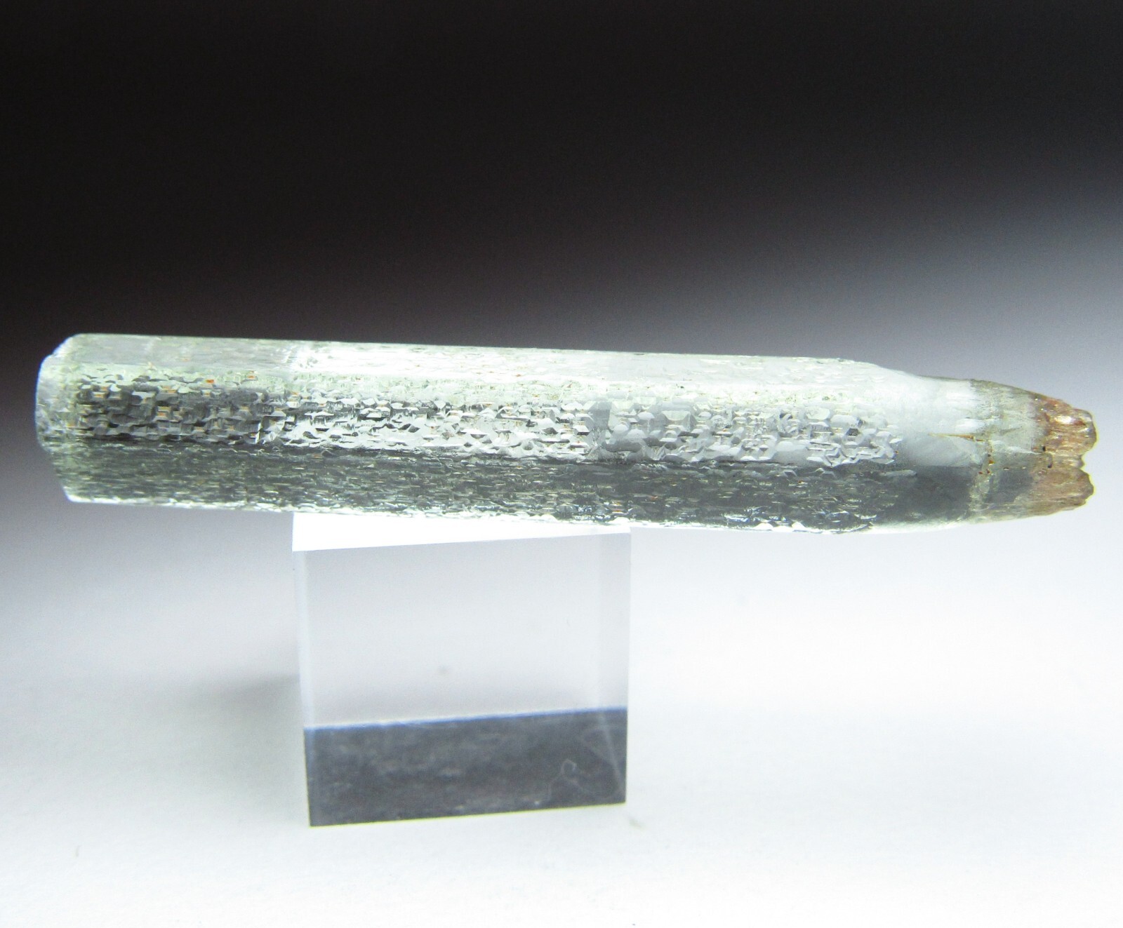 SPECTACULAR GLASSY ETCHED GEM AQUAMARINE BERYL CRYSTAL!!! SONGEA TANZANIA