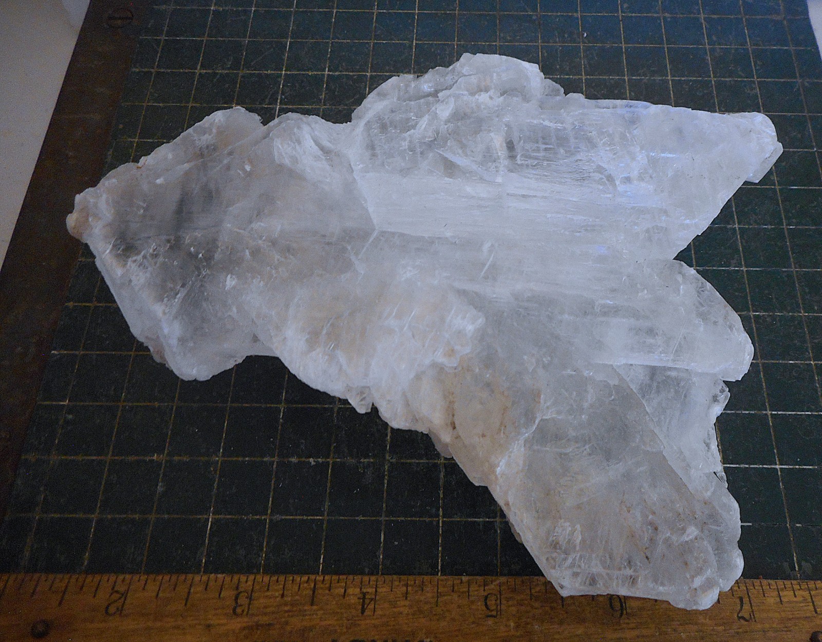 Fish Tail Selenite. Natural. Gypsum Specimen. 6.5″ (165mm). 1 pound 6 ounces