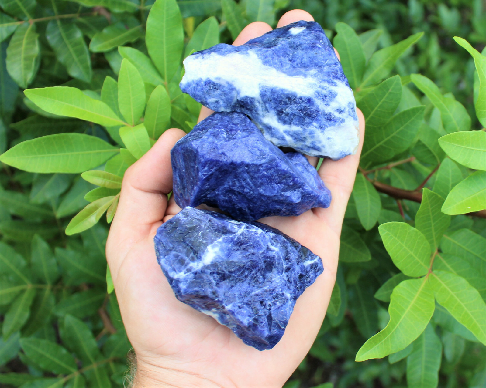 LARGE Rough Sodalite Chunks, 2 – 3″ (Raw Sodalite, ‘A’ Grade Jumbo Crystal)