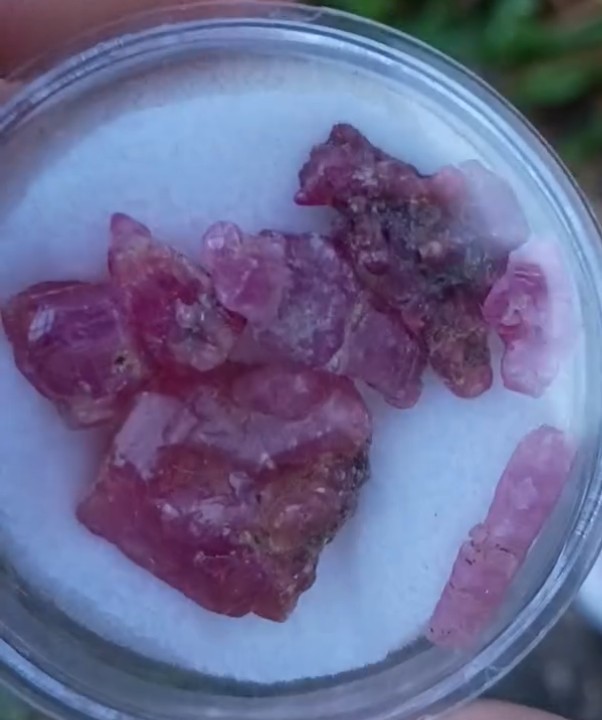 48ct rounds of natural Untreated Ruby/Sapphire crystal specimens