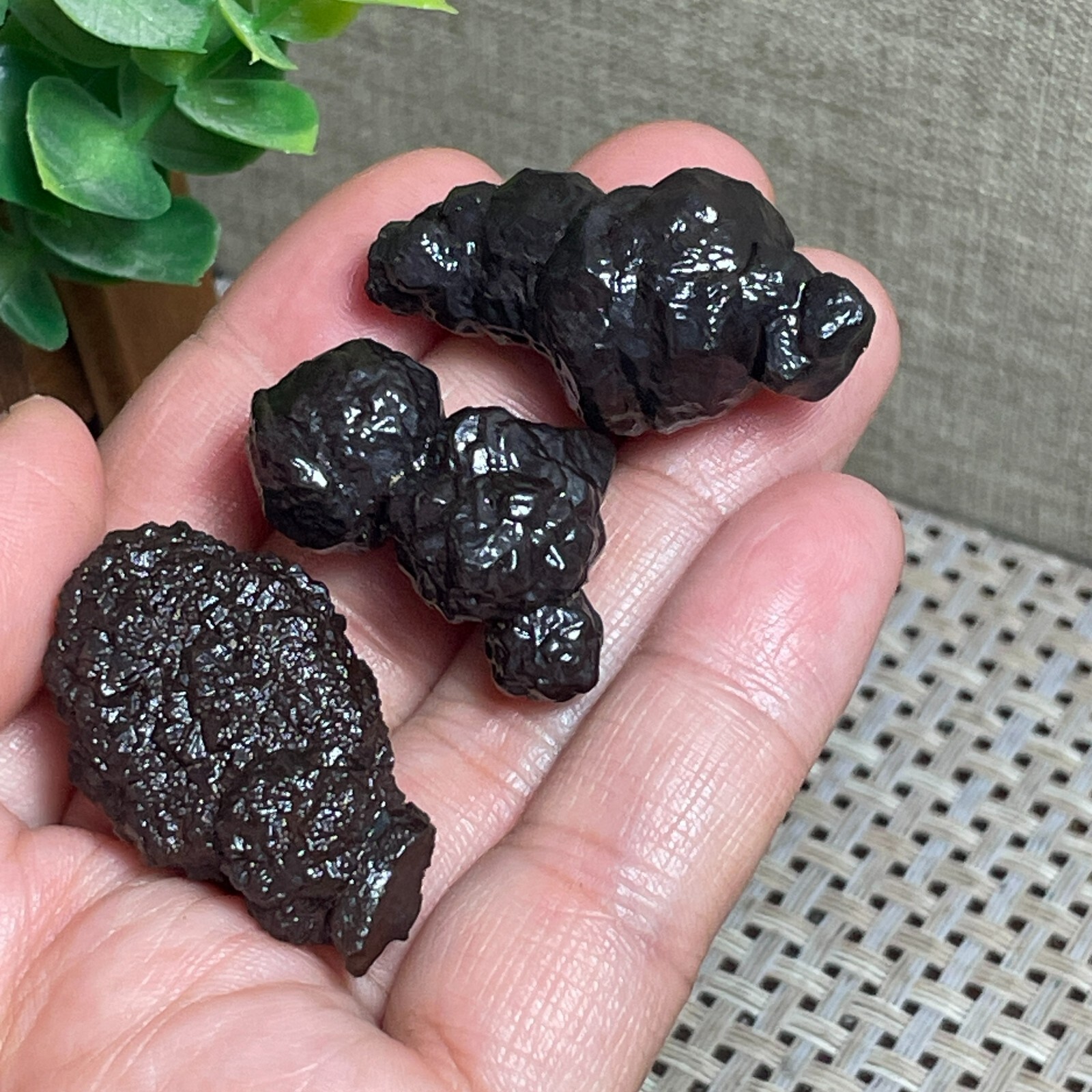 3PC 47g Prophecy Stone Pseudomorph Hematite Goethite after Marcasite Egypt E1544