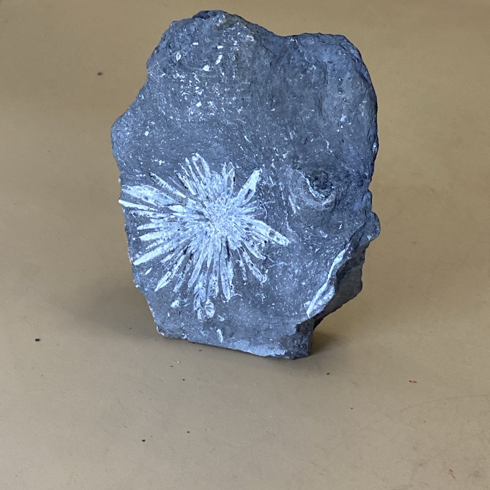 222g Natural Calcite Crystal Liuyang Chrysanthemum Stone (D2J7/Unpainted)