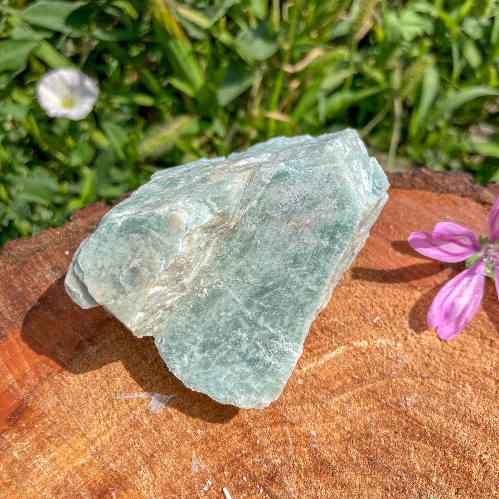 Raw Amazonite Crystal / Throat / March Gift / Communication / Clairvoyance