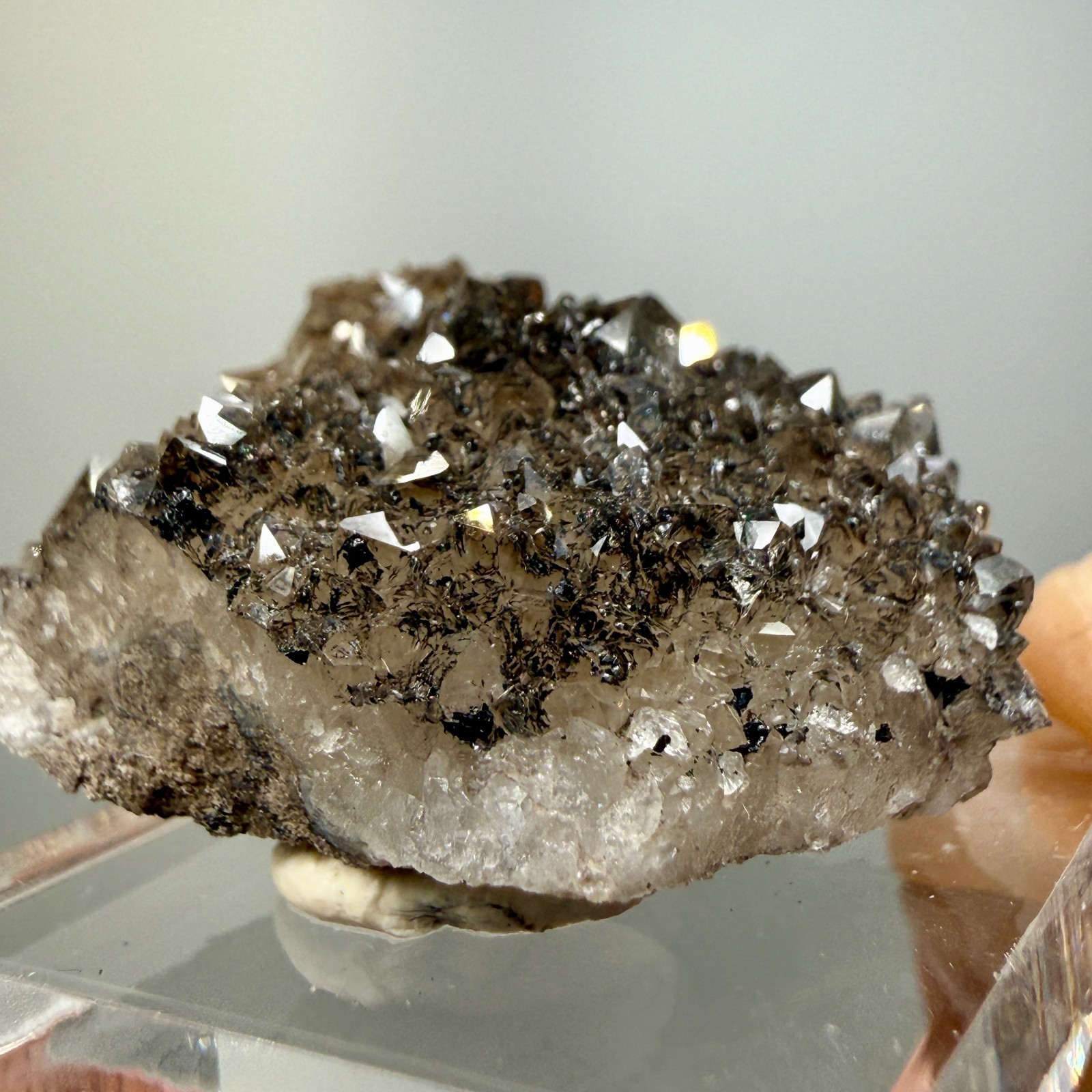 Herkimer Diamond Black + Gray Druze, Gemmy Points w/ Hydrocarbon, Rare Matrix